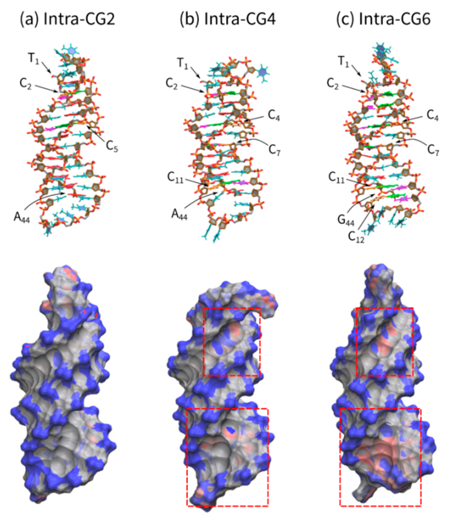 Molecules 25 00387 g007