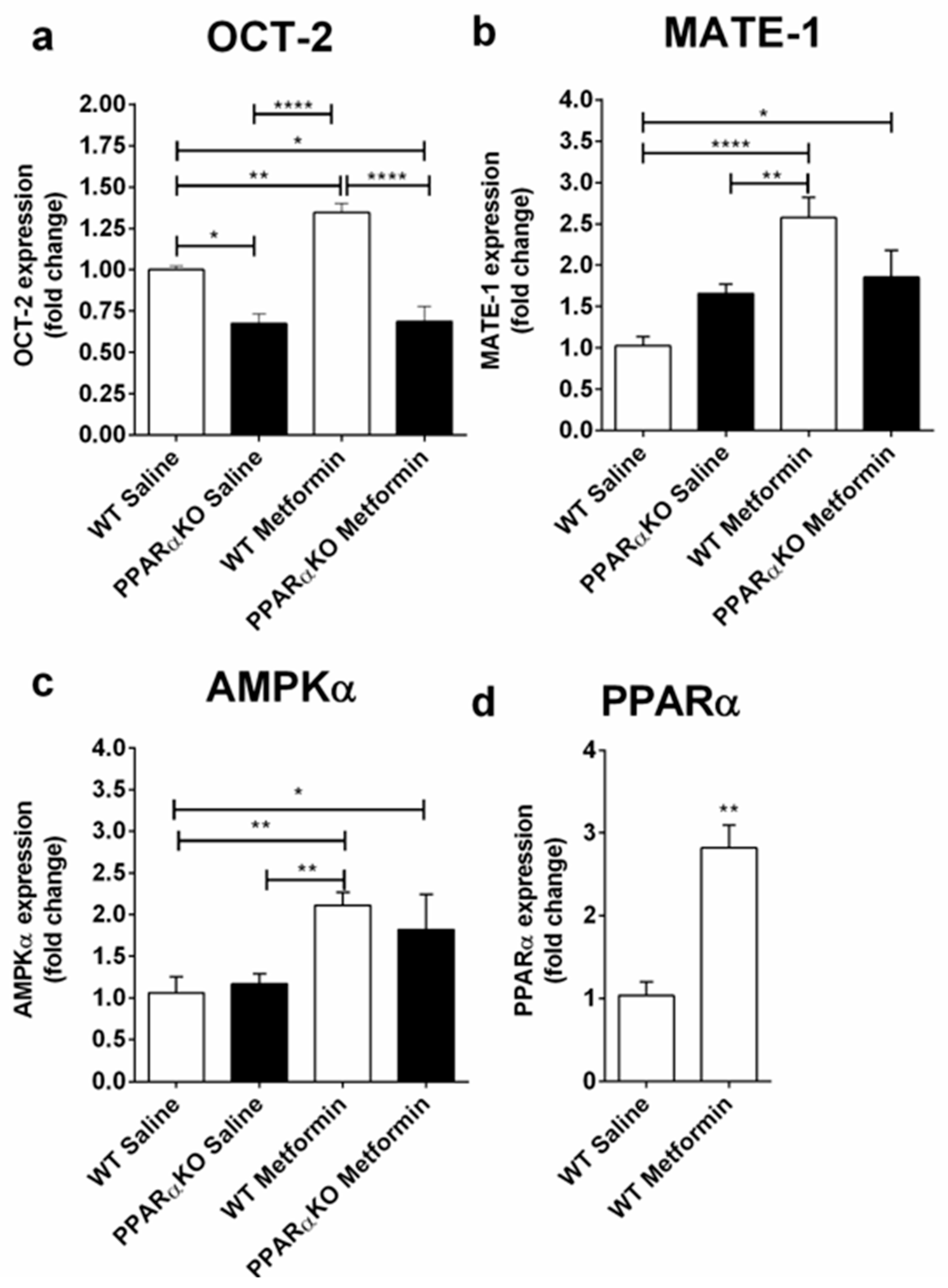 Molecules 25 00392 g001