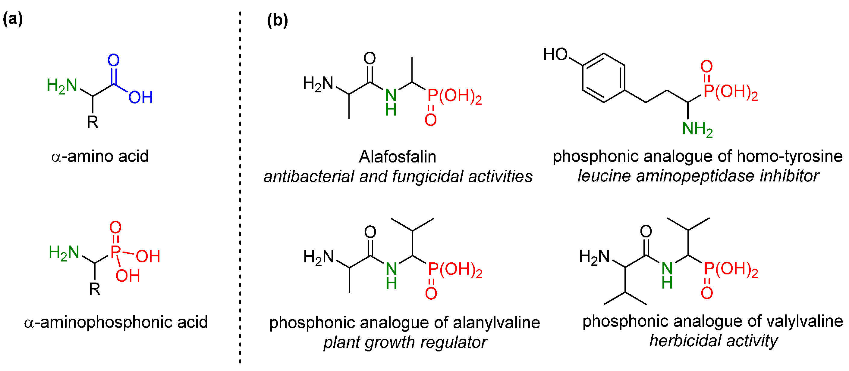 Molecules 25 00405 g001