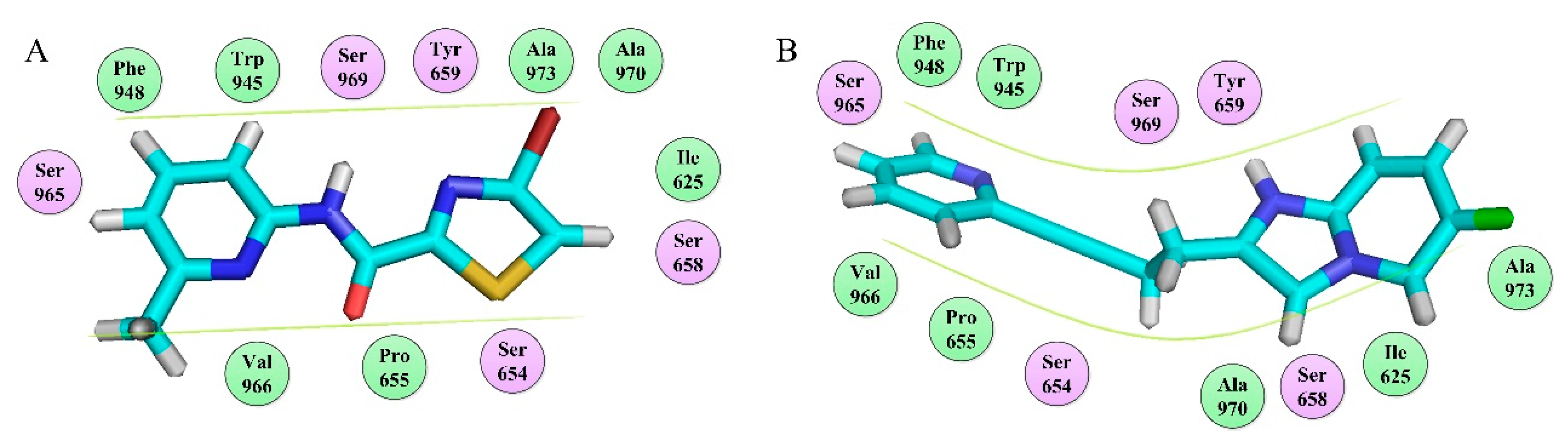 Molecules 25 00406 g012