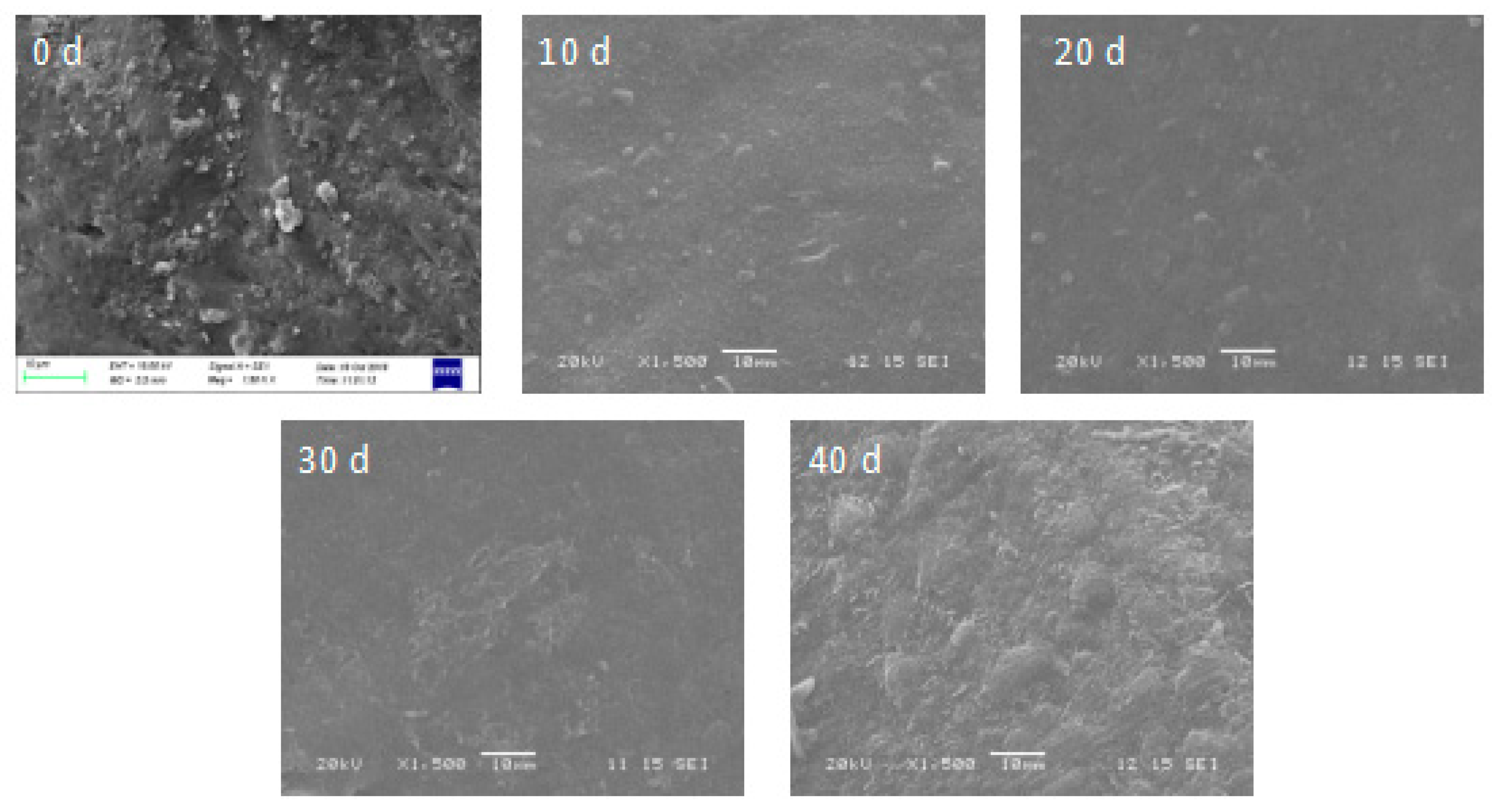 Molecules 25 00412 g004