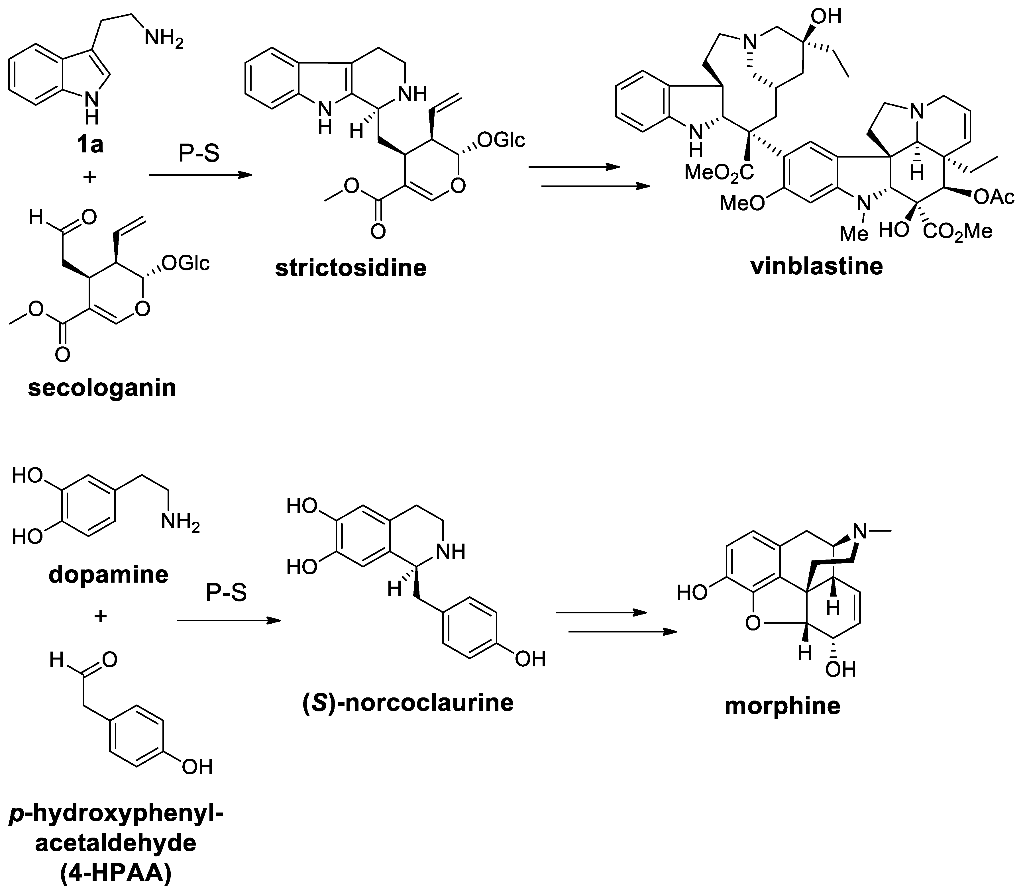 Molecules 25 00414 sch072