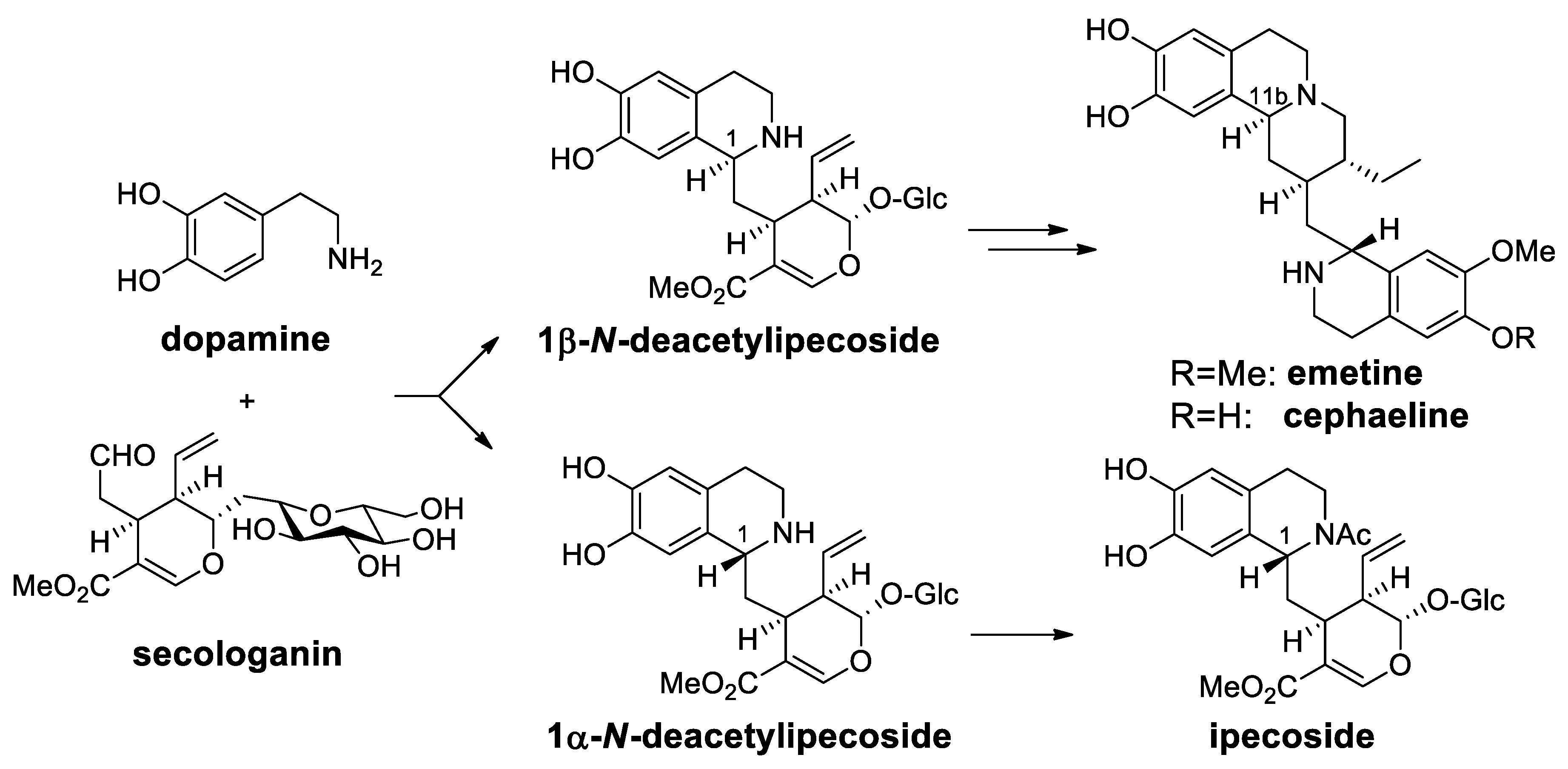 Molecules 25 00414 sch073