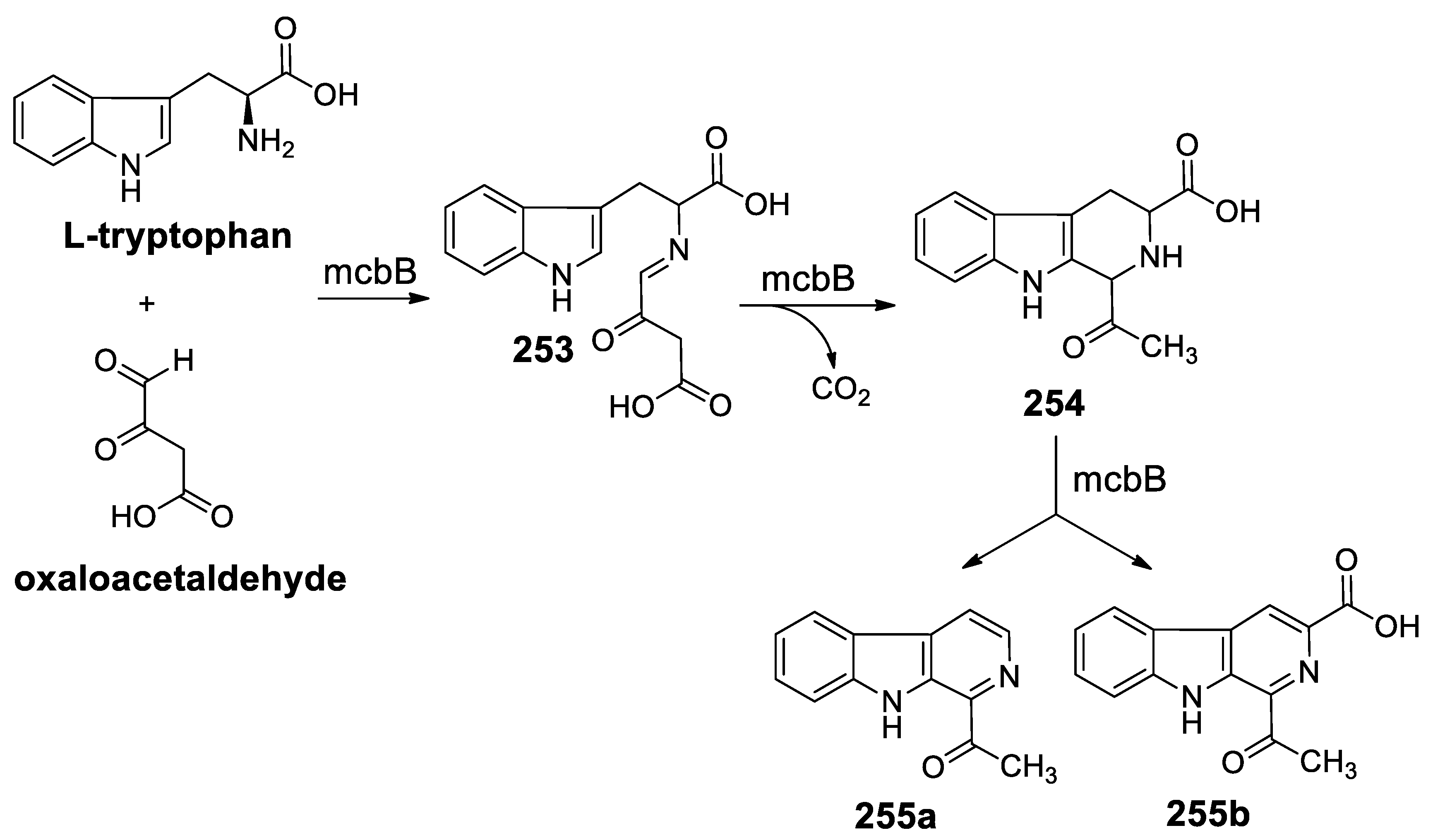 Molecules 25 00414 sch076