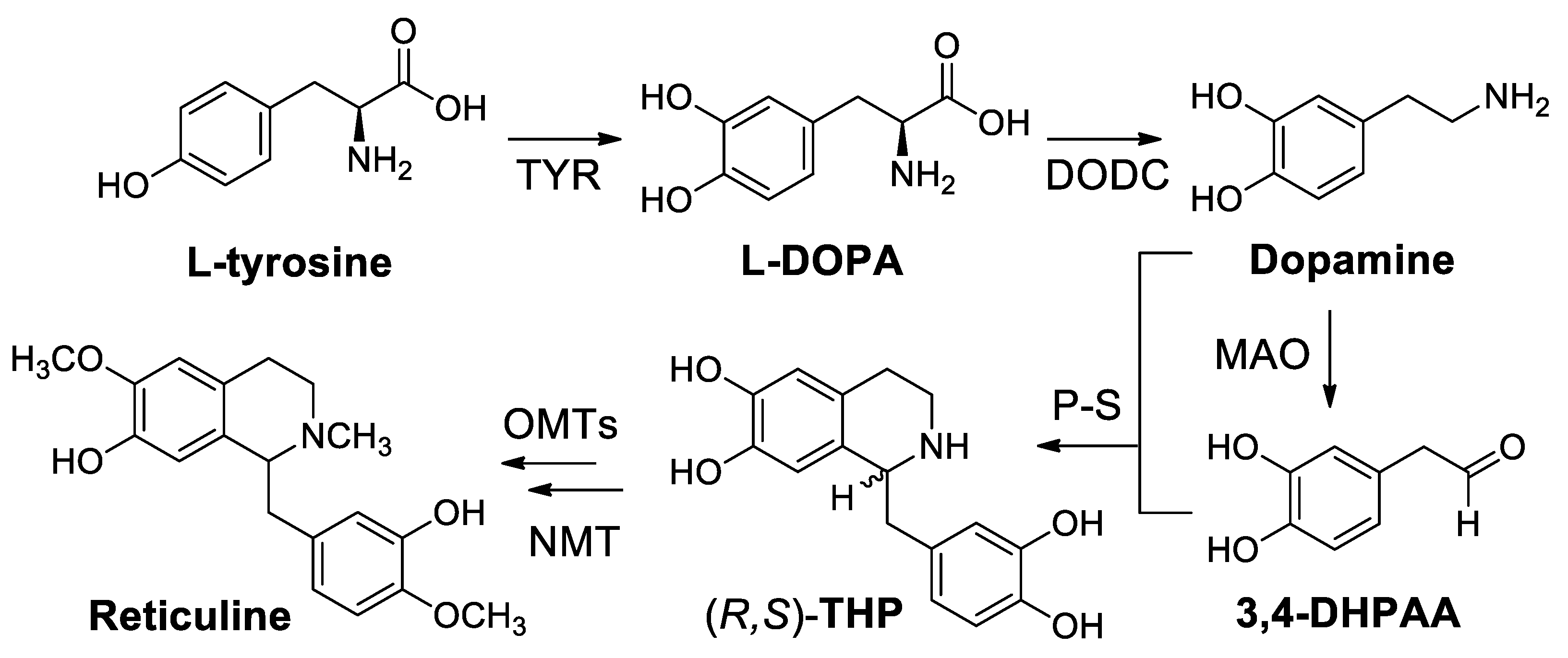 Molecules 25 00414 sch080