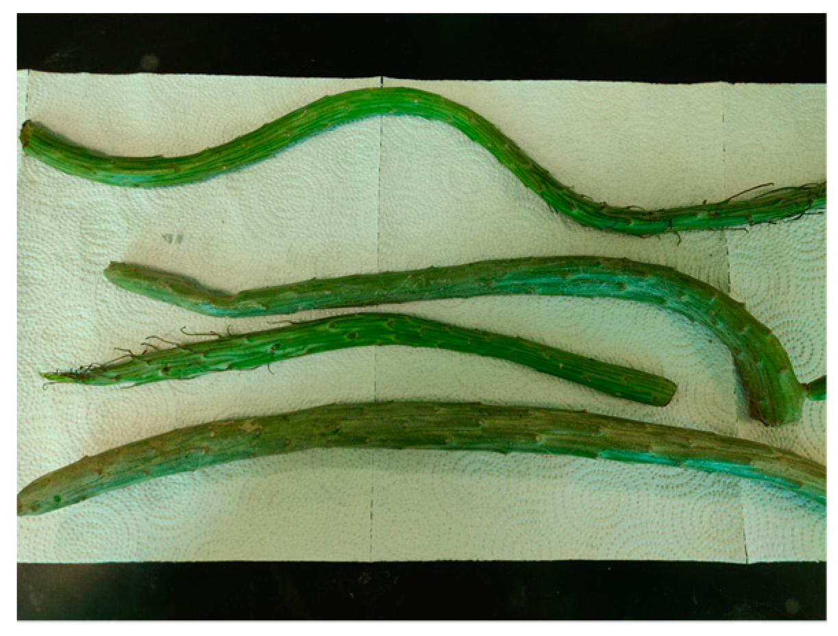 Molecules 25 00418 g001