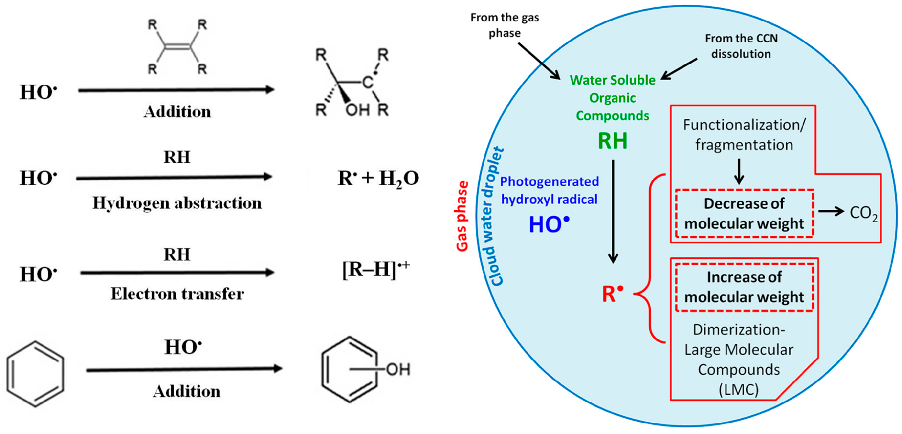 Molecules 25 00423 g004