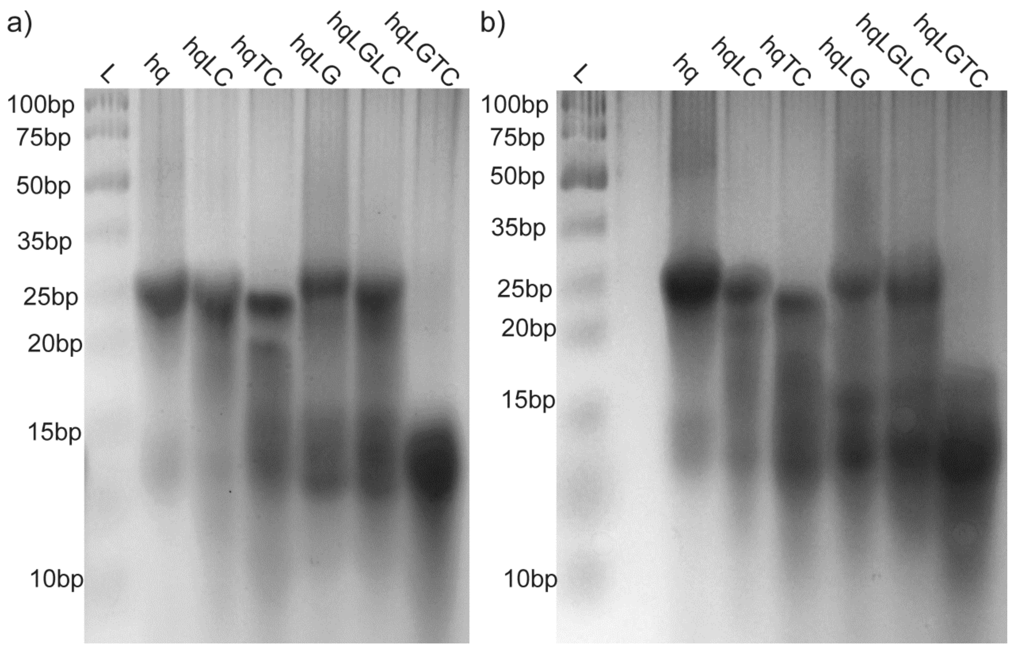 Molecules 25 00434 g008 Molecules 25 00434 g008