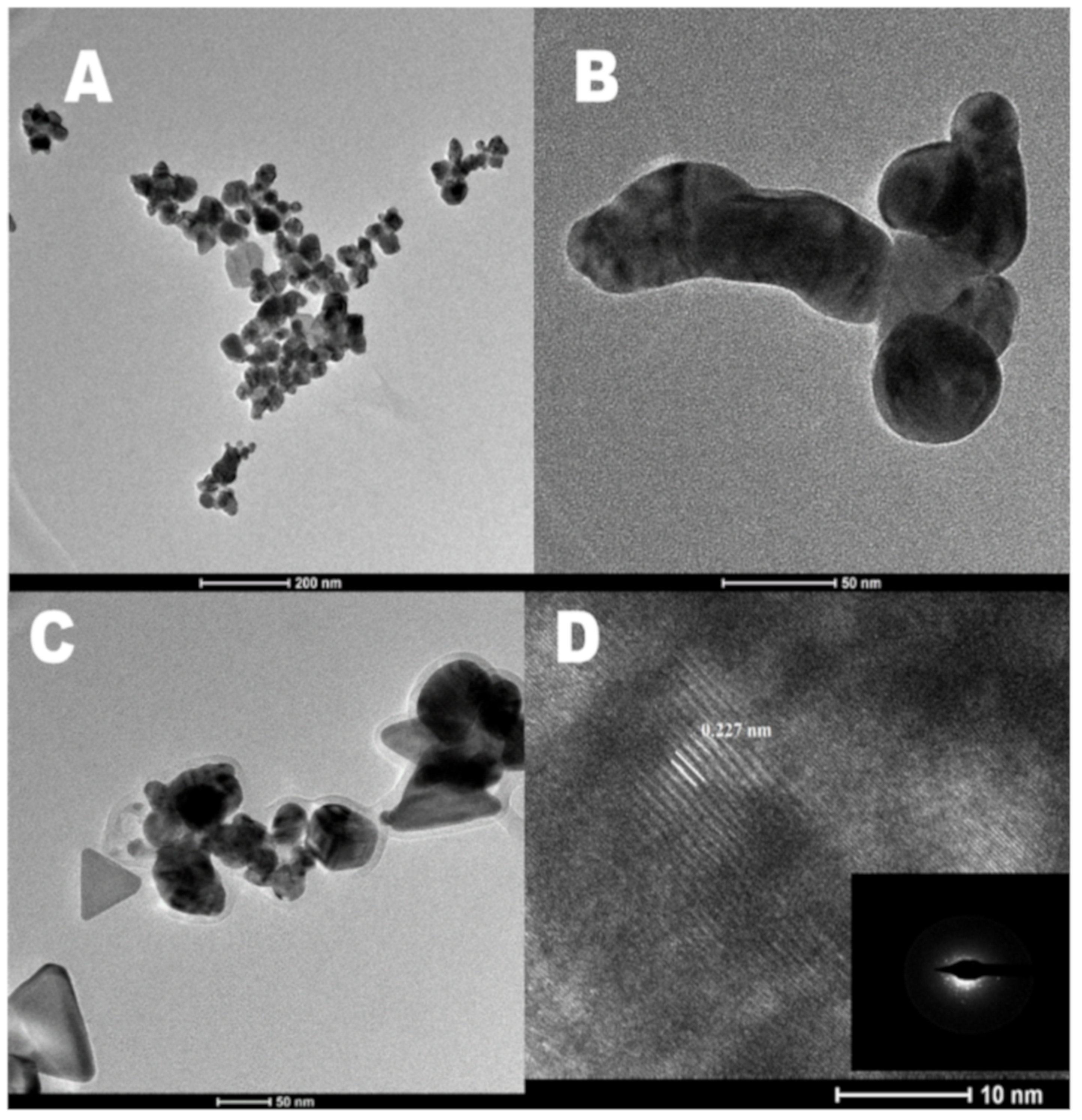 Molecules 25 00435 g006