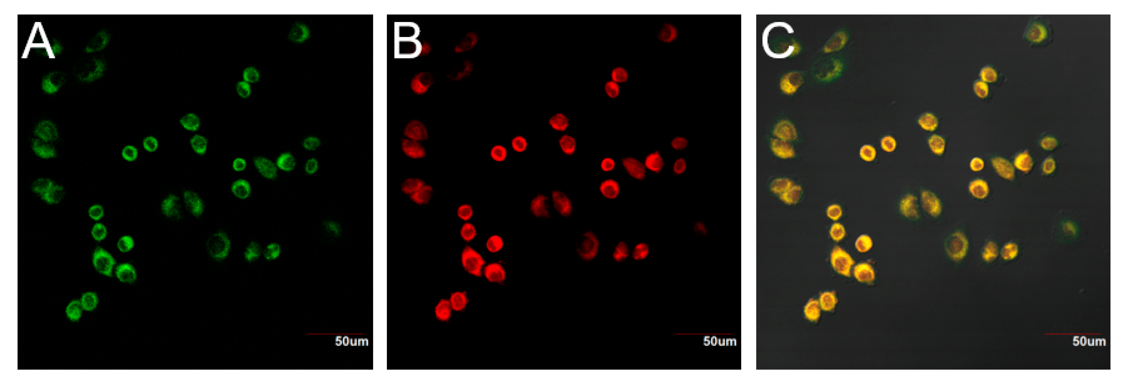 Molecules 25 00437 g006