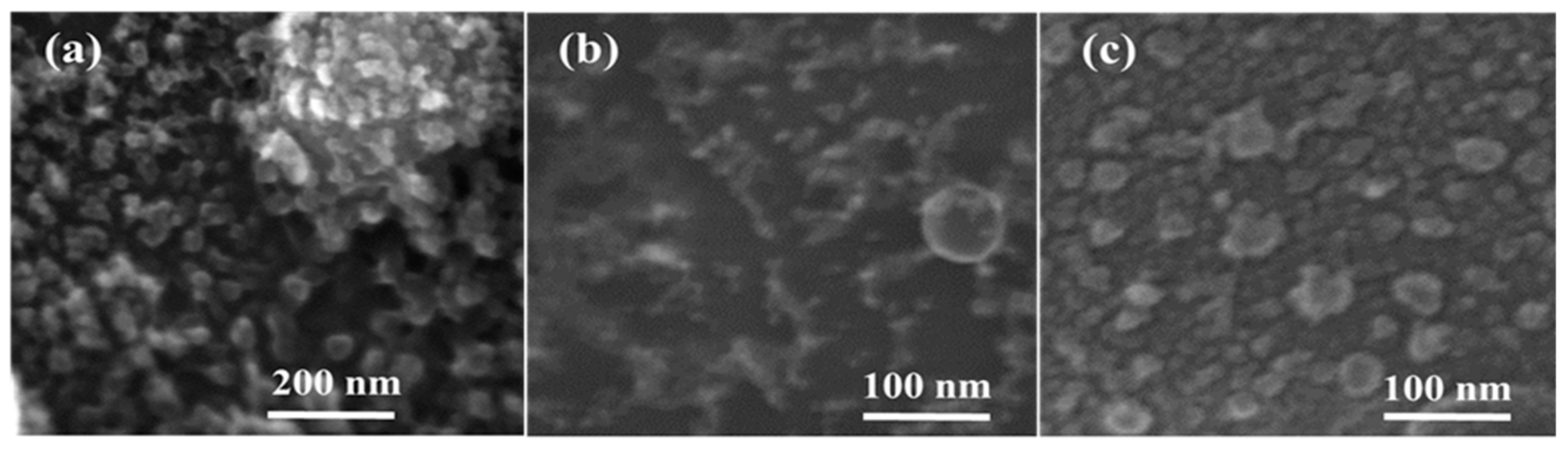 Molecules 25 00440 g002