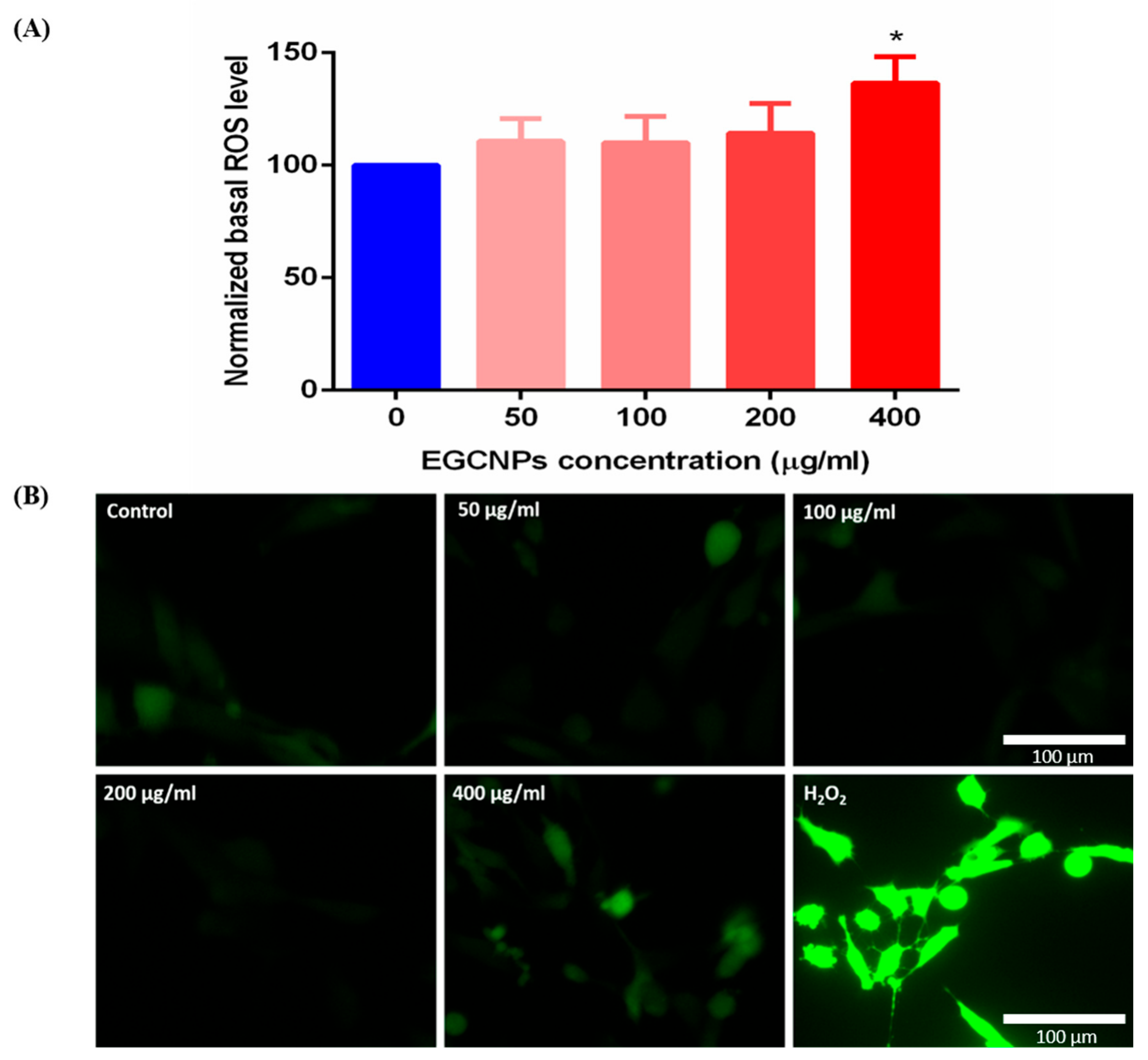 Molecules 25 00441 g002