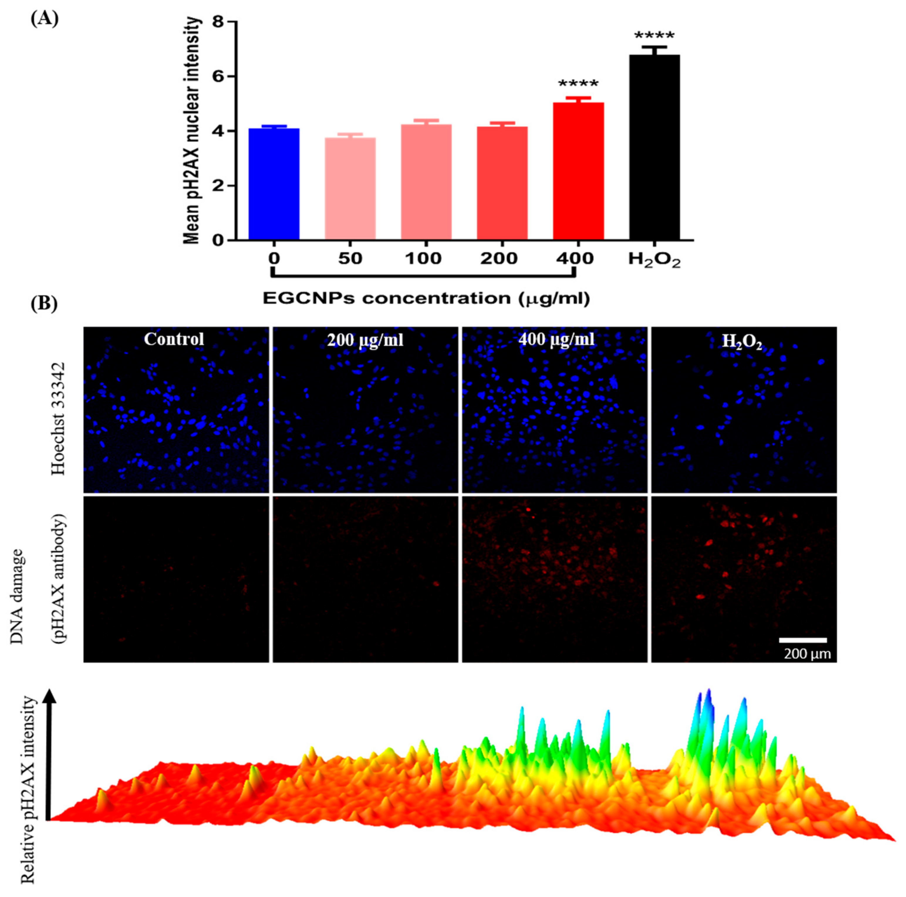 Molecules 25 00441 g007