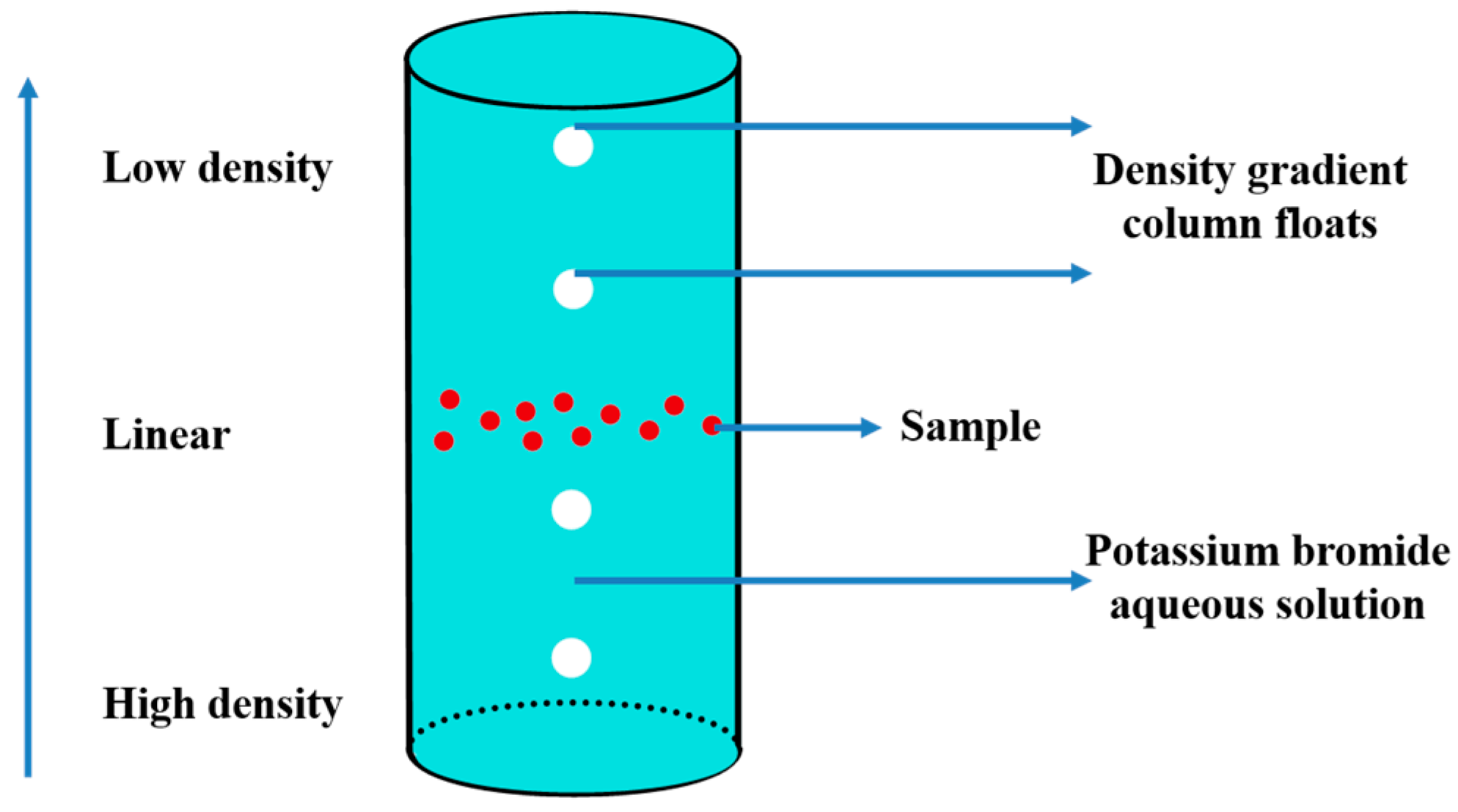 Molecules 25 00443 g008