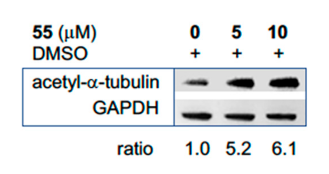 Molecules 25 00455 g002 Molecules 25 00455 g002