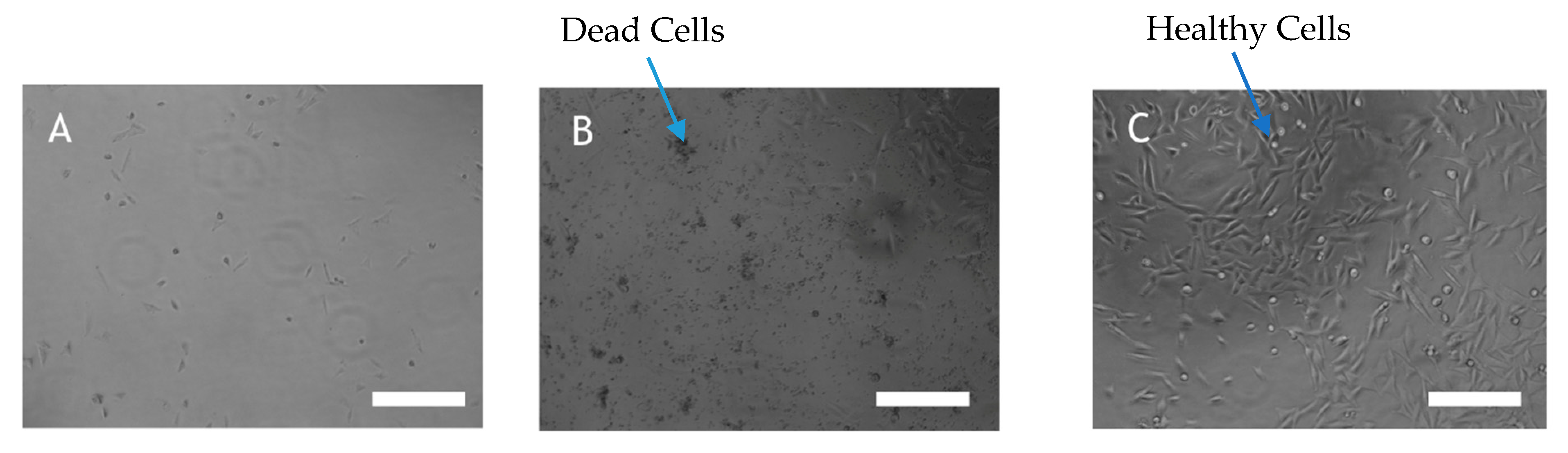 Molecules 25 00460 g003