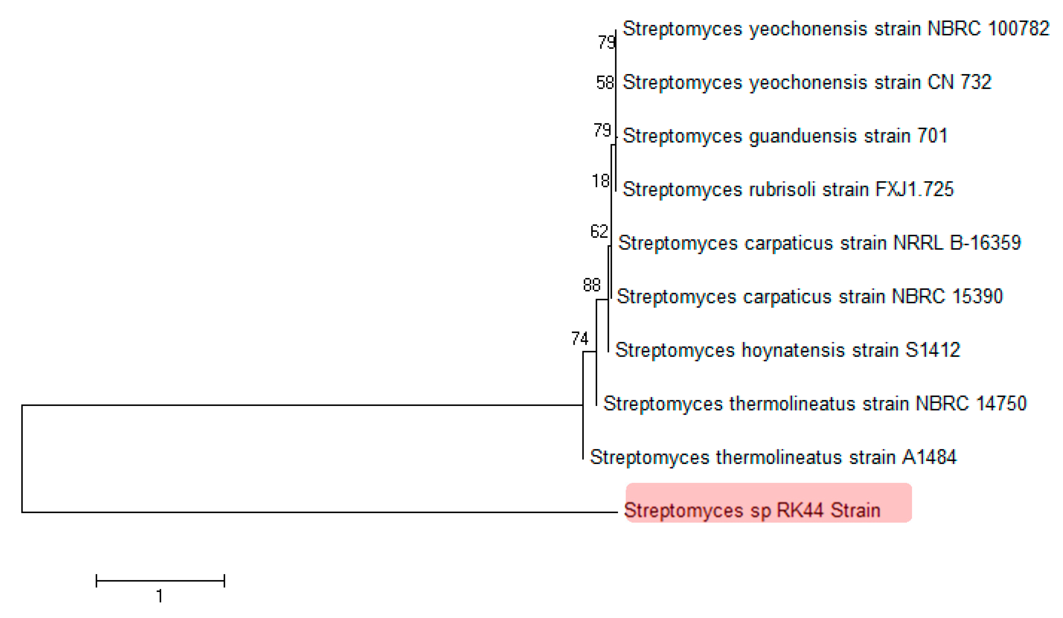 Molecules 25 00460 g004