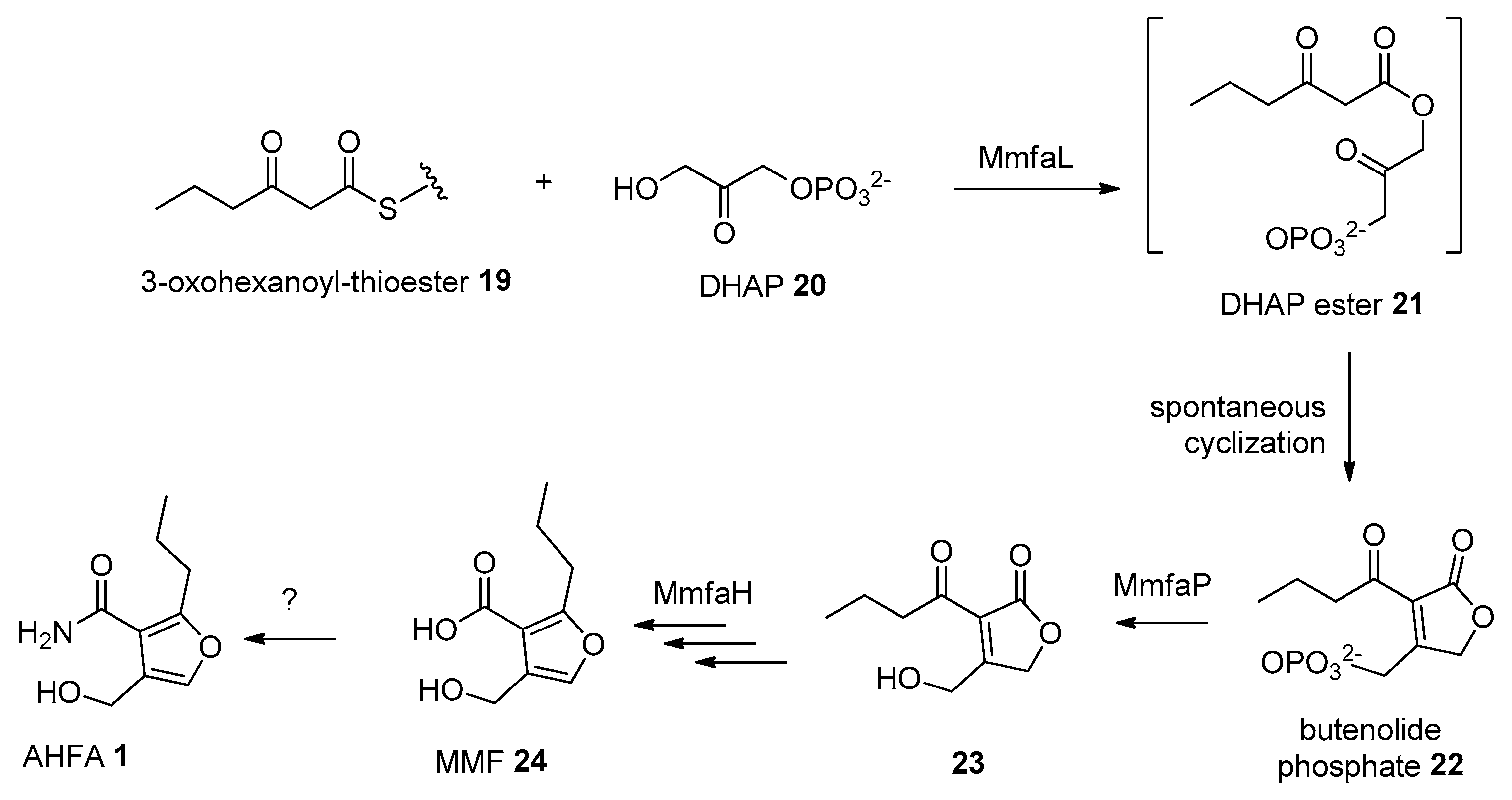 Molecules 25 00460 sch001