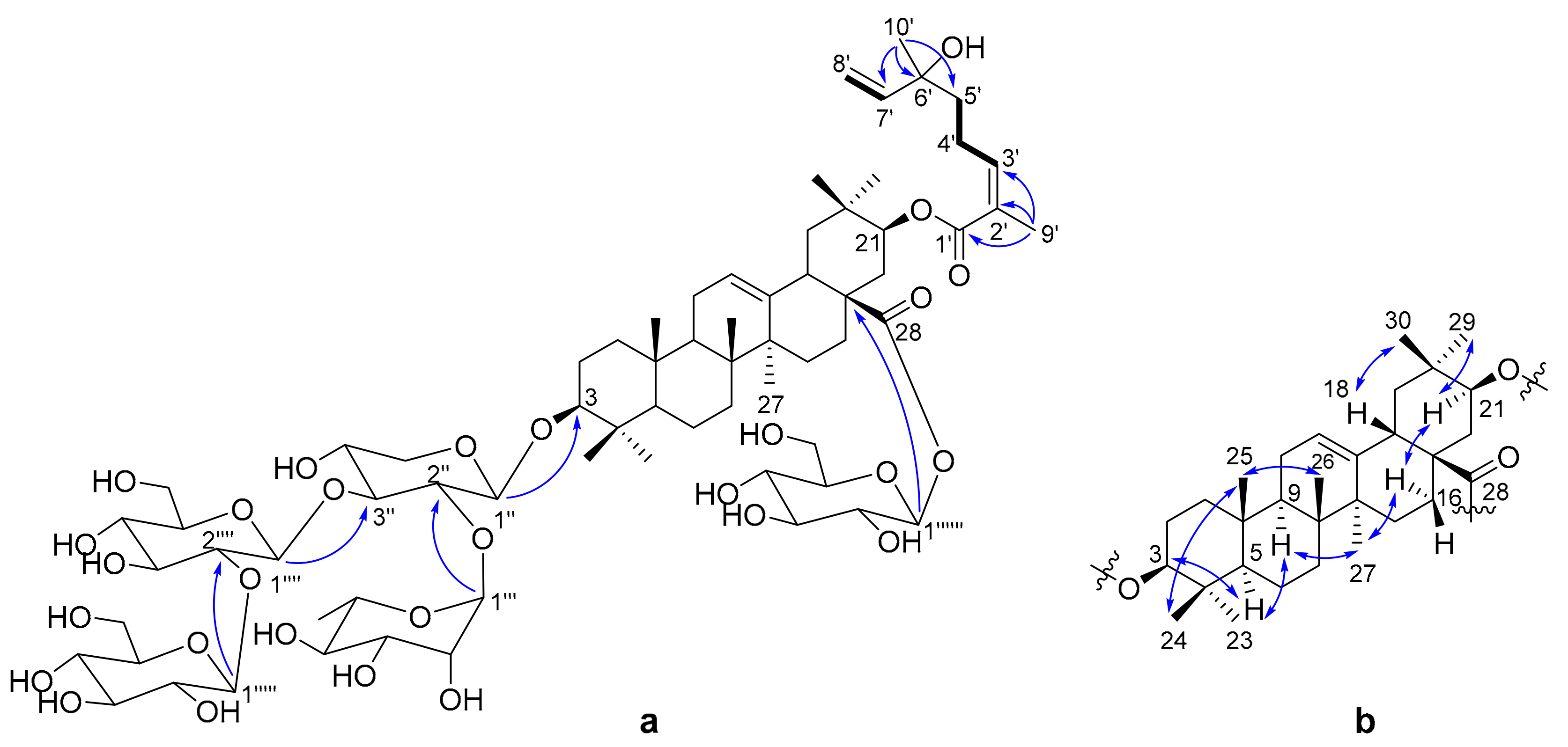 Molecules 25 00462 g002