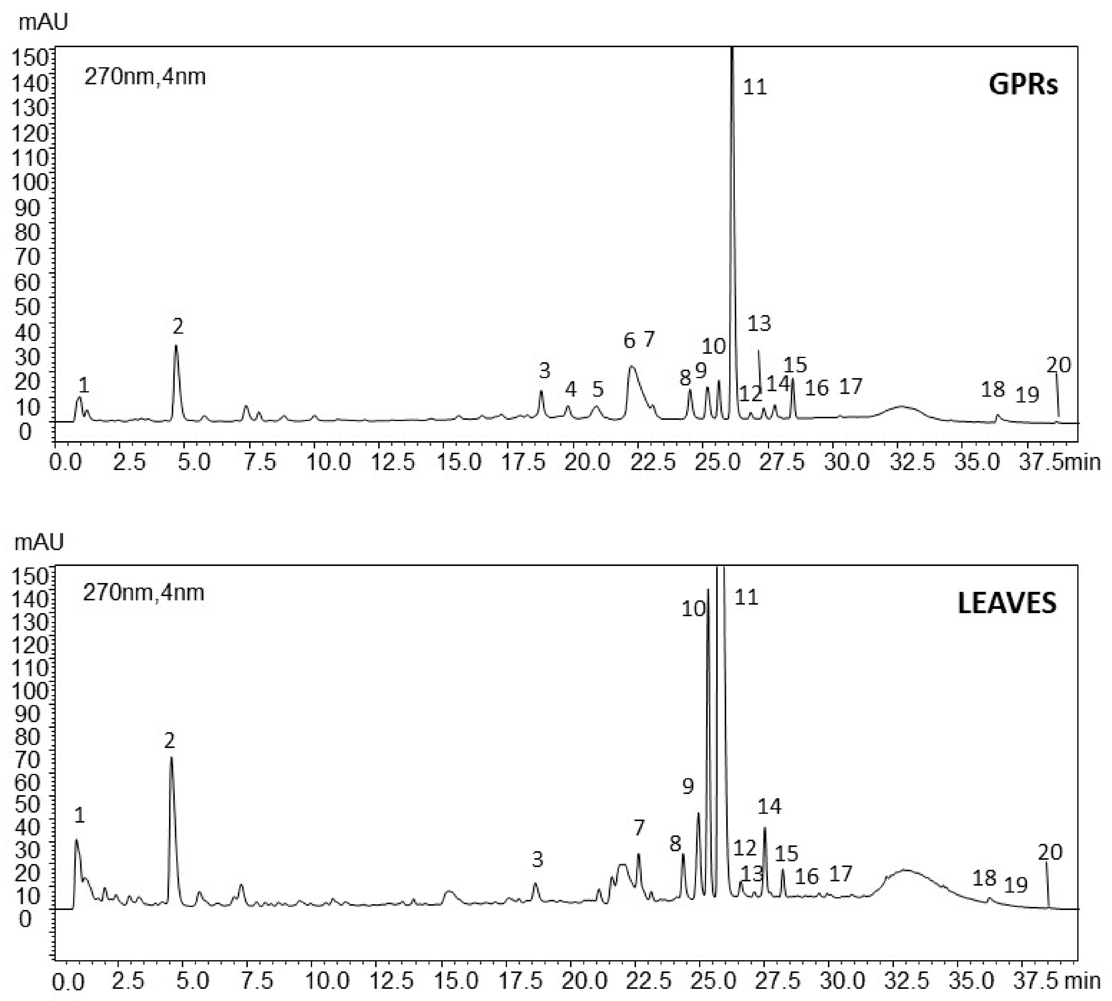Molecules 25 00464 g001