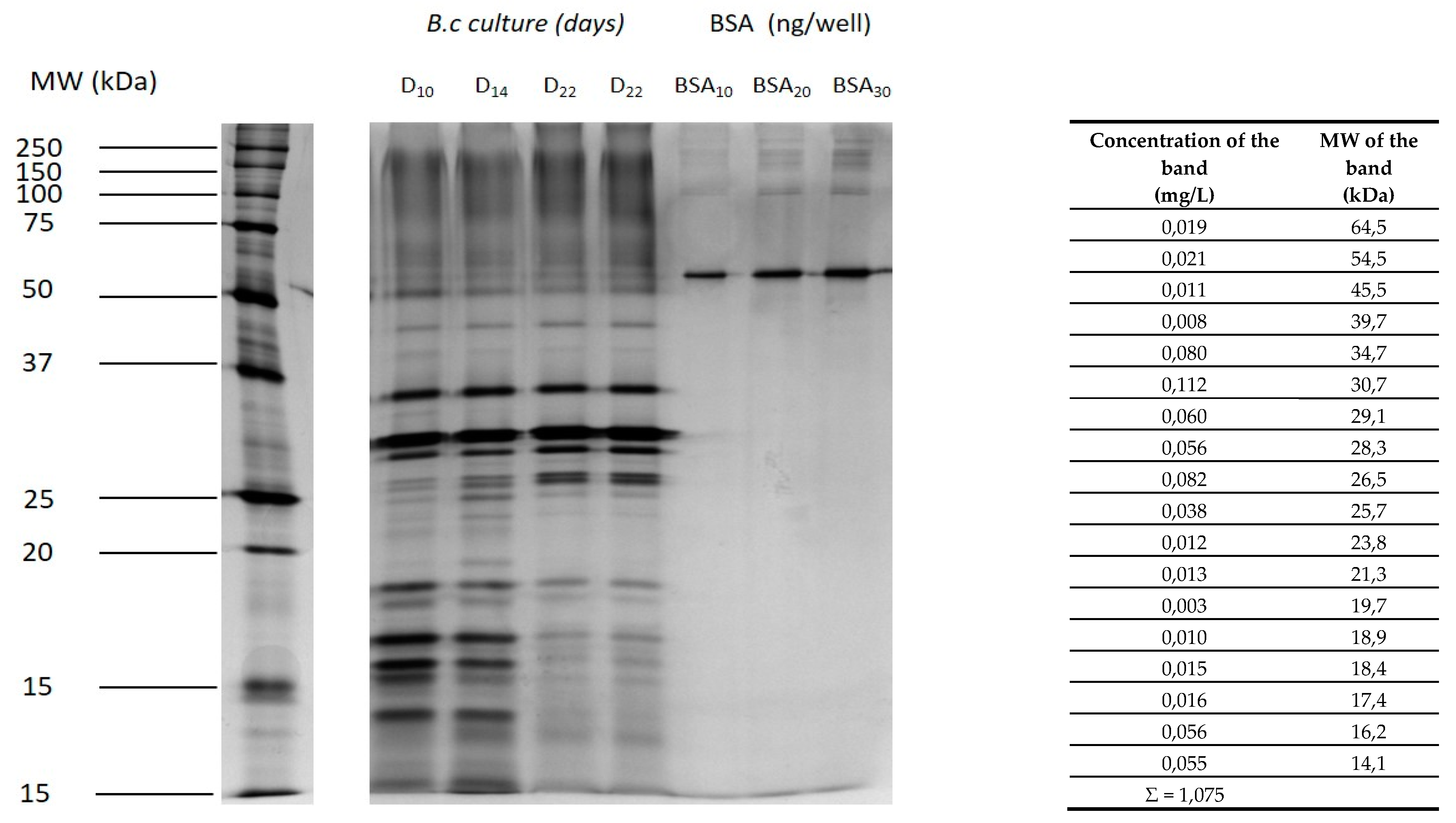 Molecules 25 00472 g001