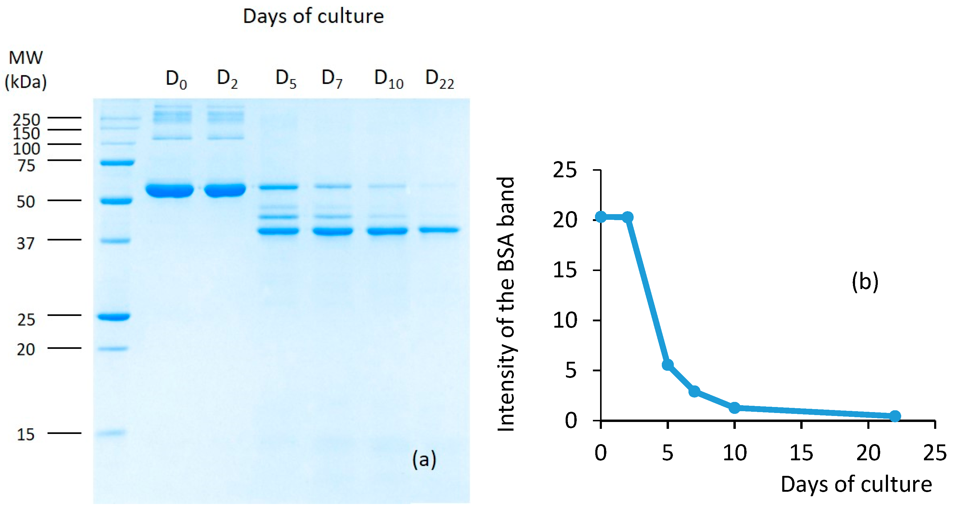 Molecules 25 00472 g002