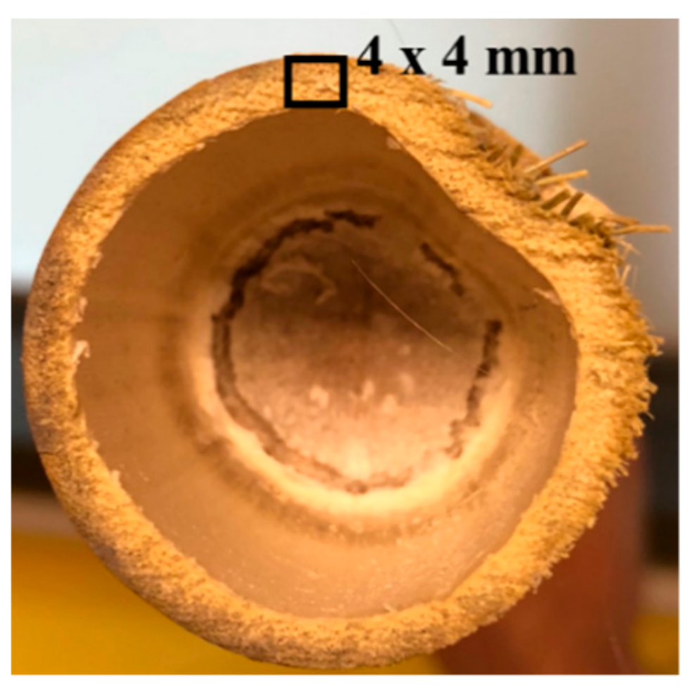 Molecules 25 00474 g011