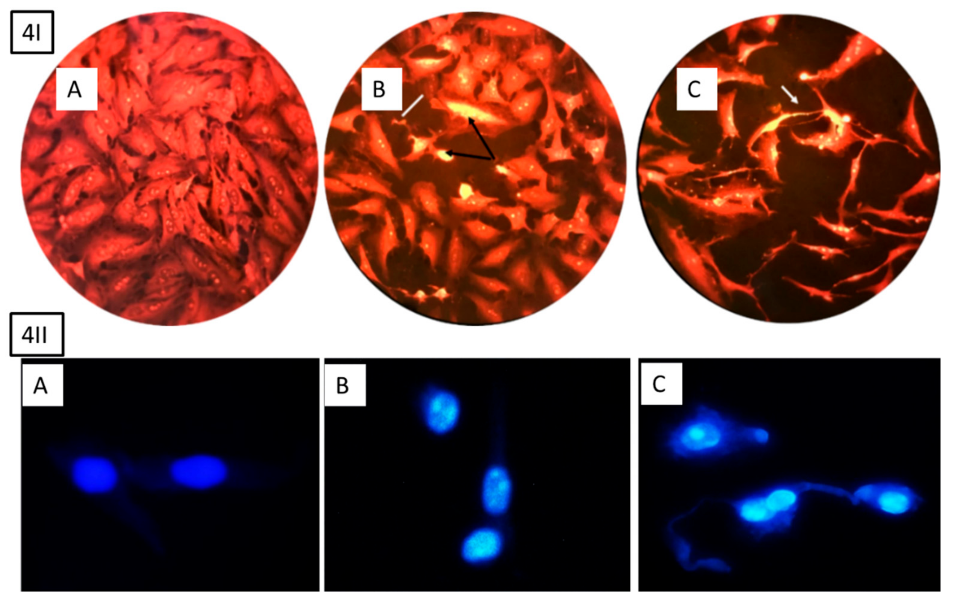 Molecules 25 00478 g004