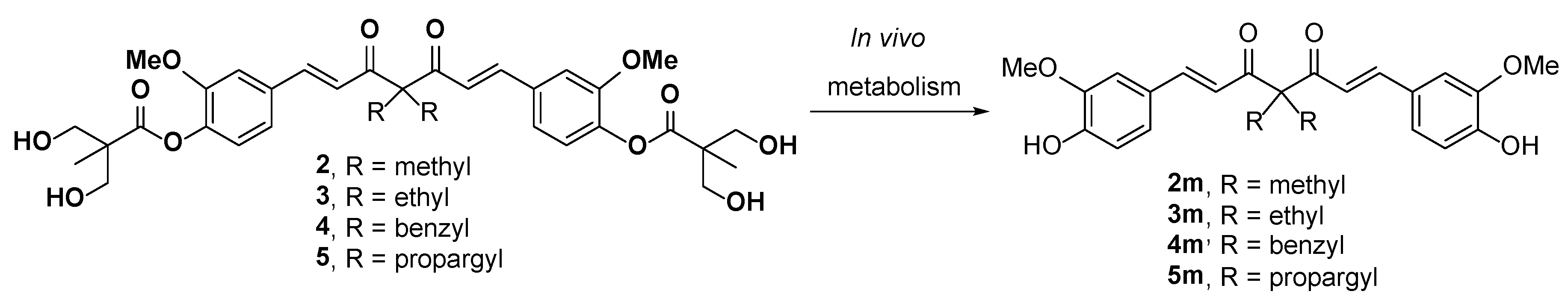 Molecules 25 00479 sch002