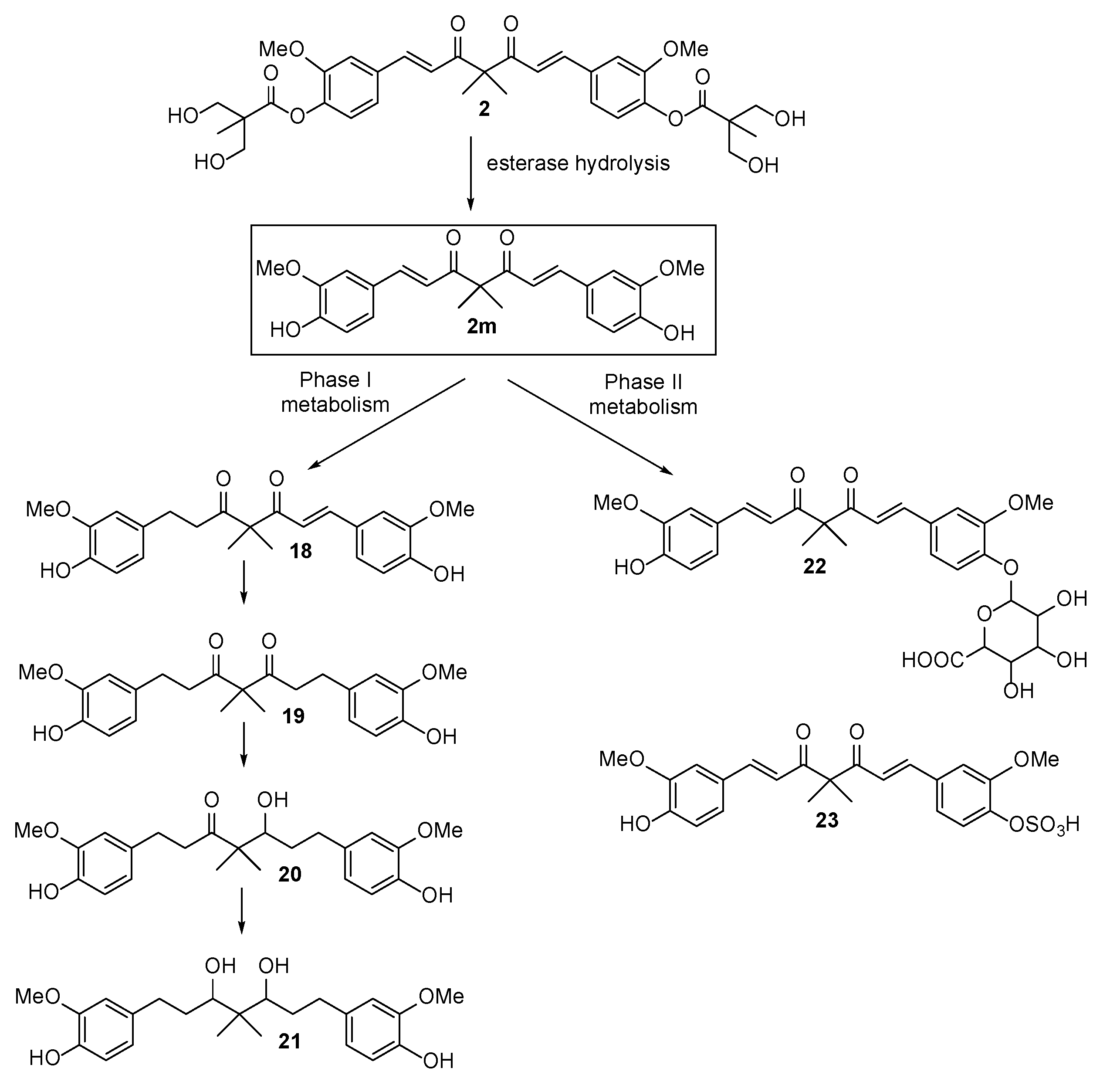 Molecules 25 00479 sch006