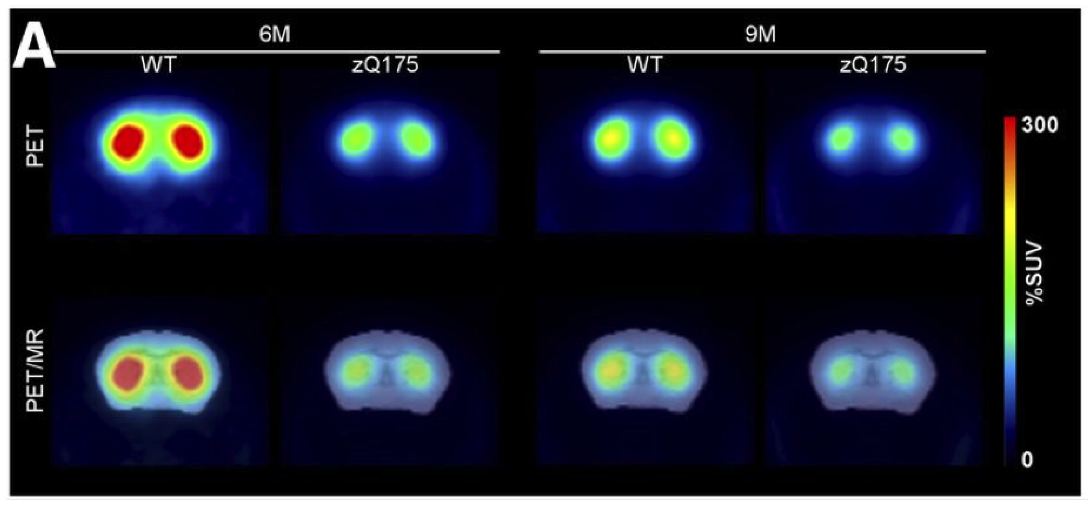 Molecules 25 00482 g001 Molecules 25 00482 g001