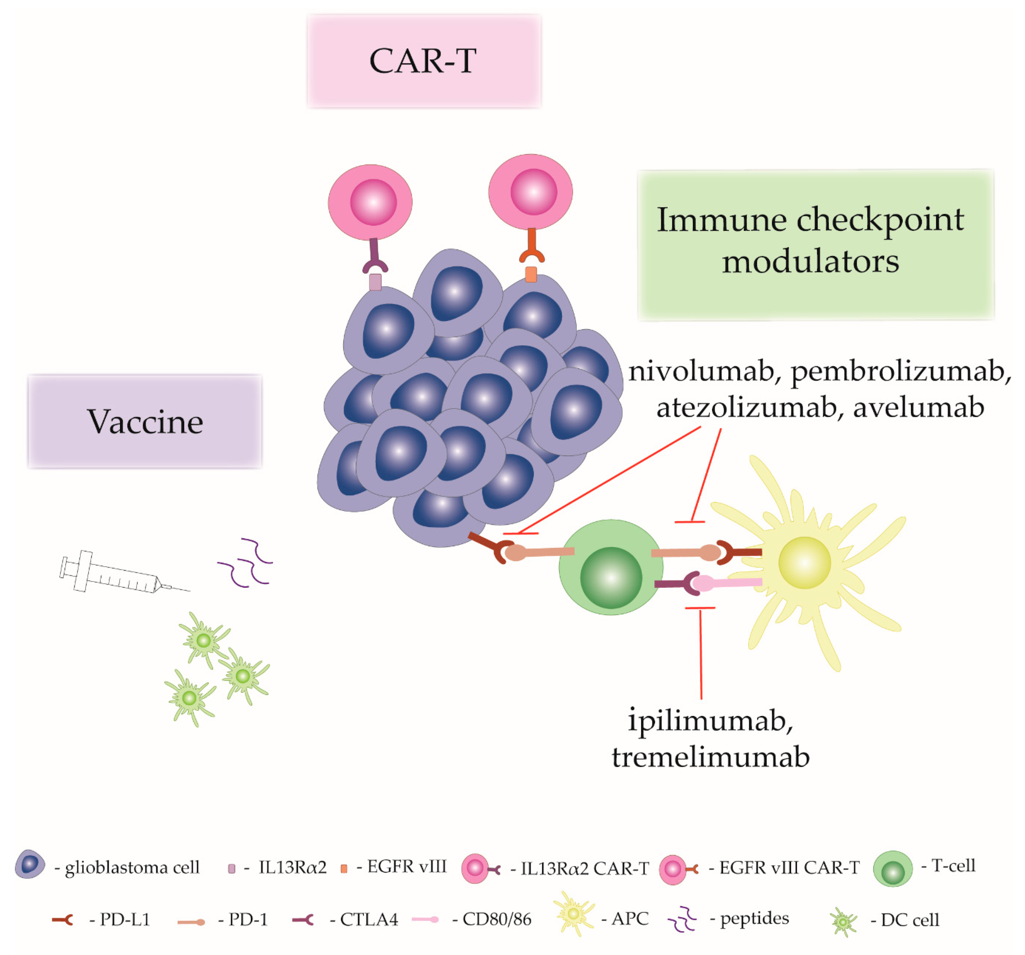 Molecules 25 00490 g002