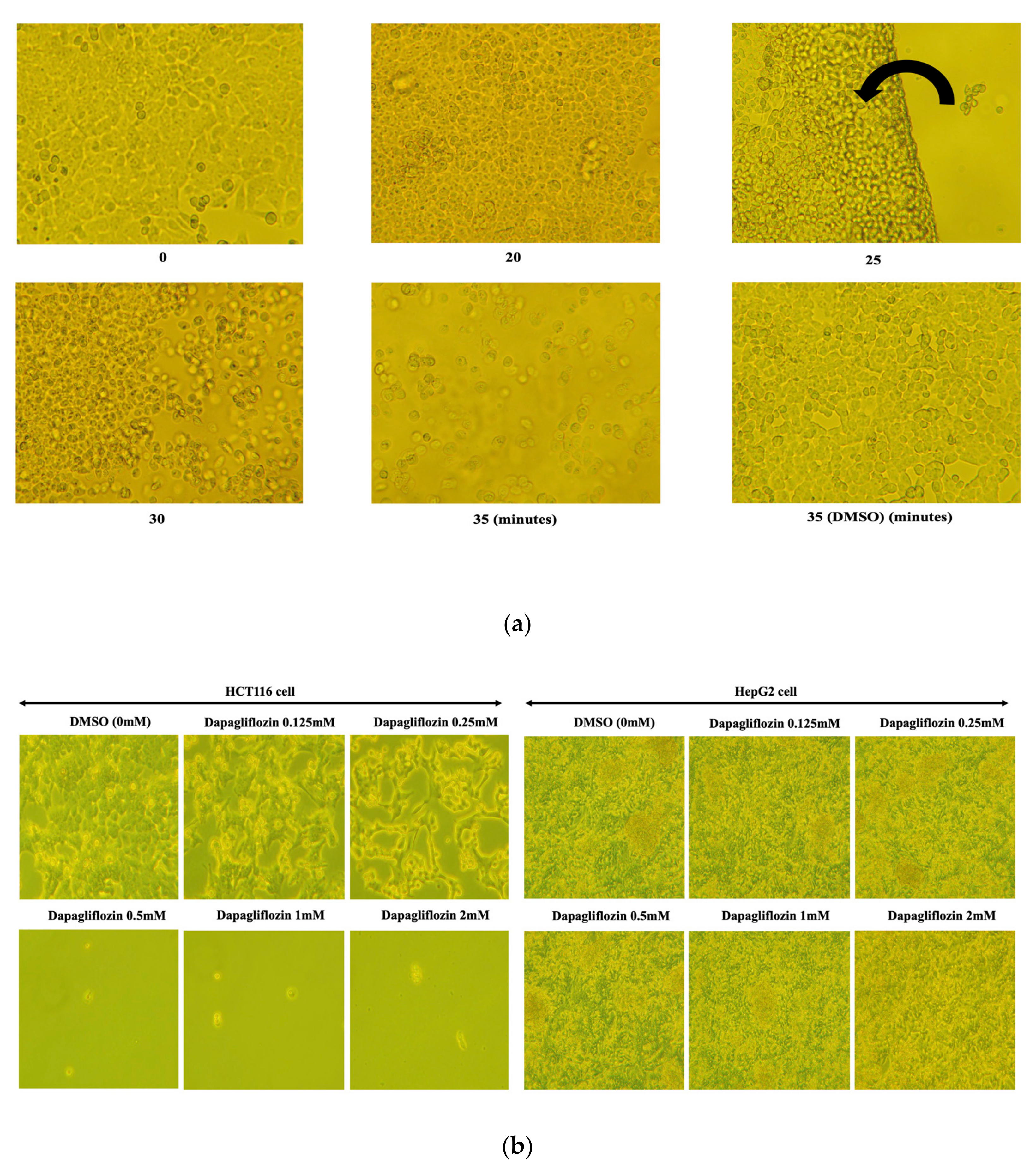 Molecules 25 00495 g001a Molecules 25 00495 g001a