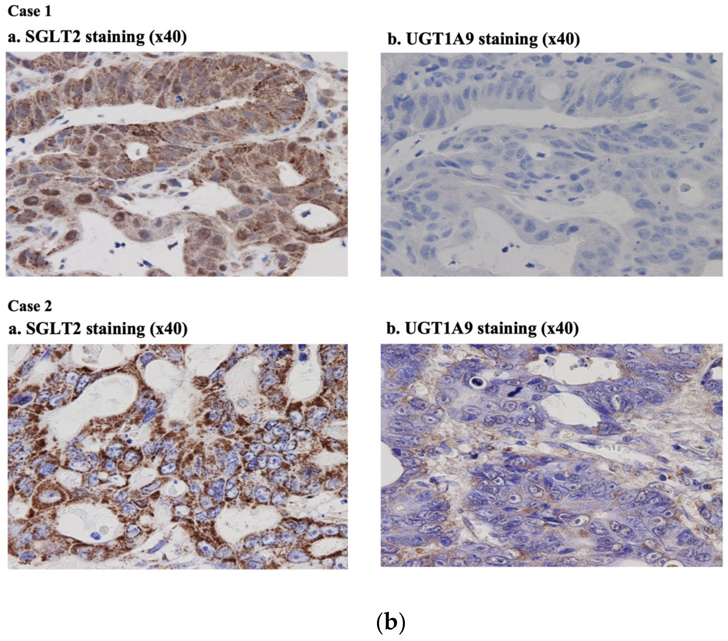 Molecules 25 00495 g007b Molecules 25 00495 g007b