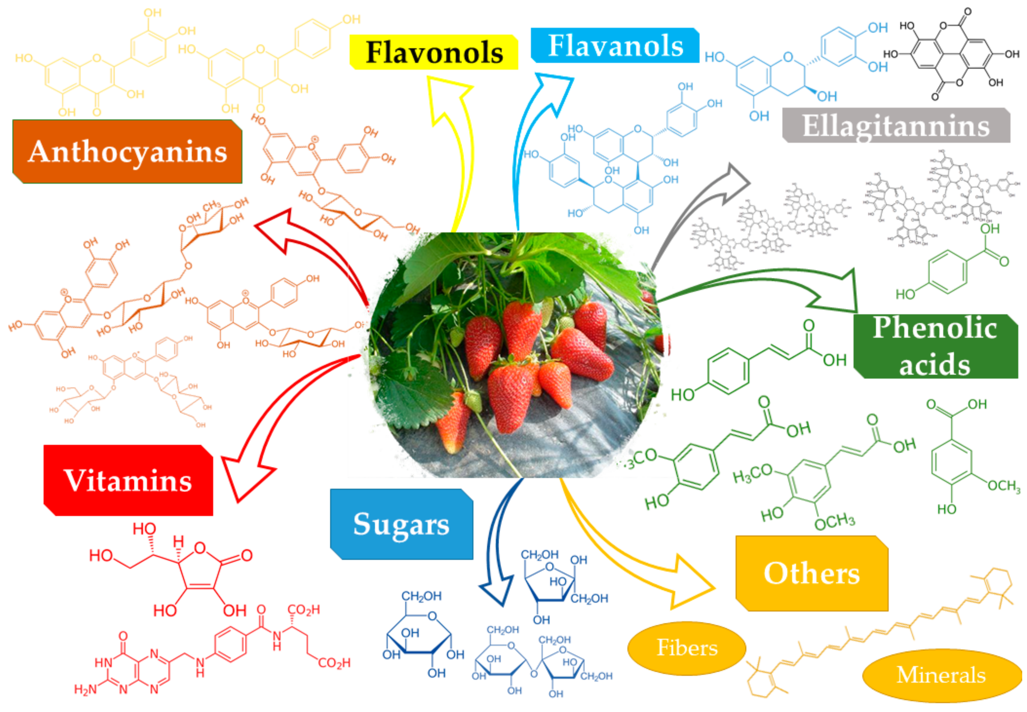 Molecules 25 00498 g001