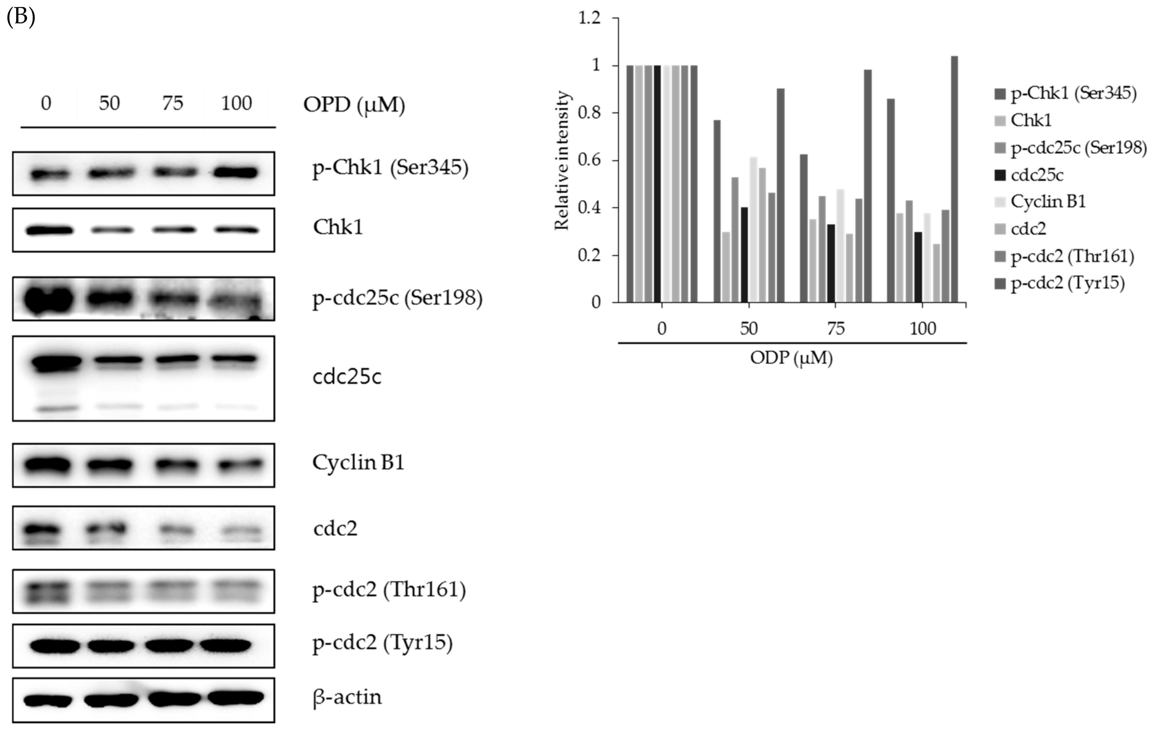 Molecules 25 00501 g003b