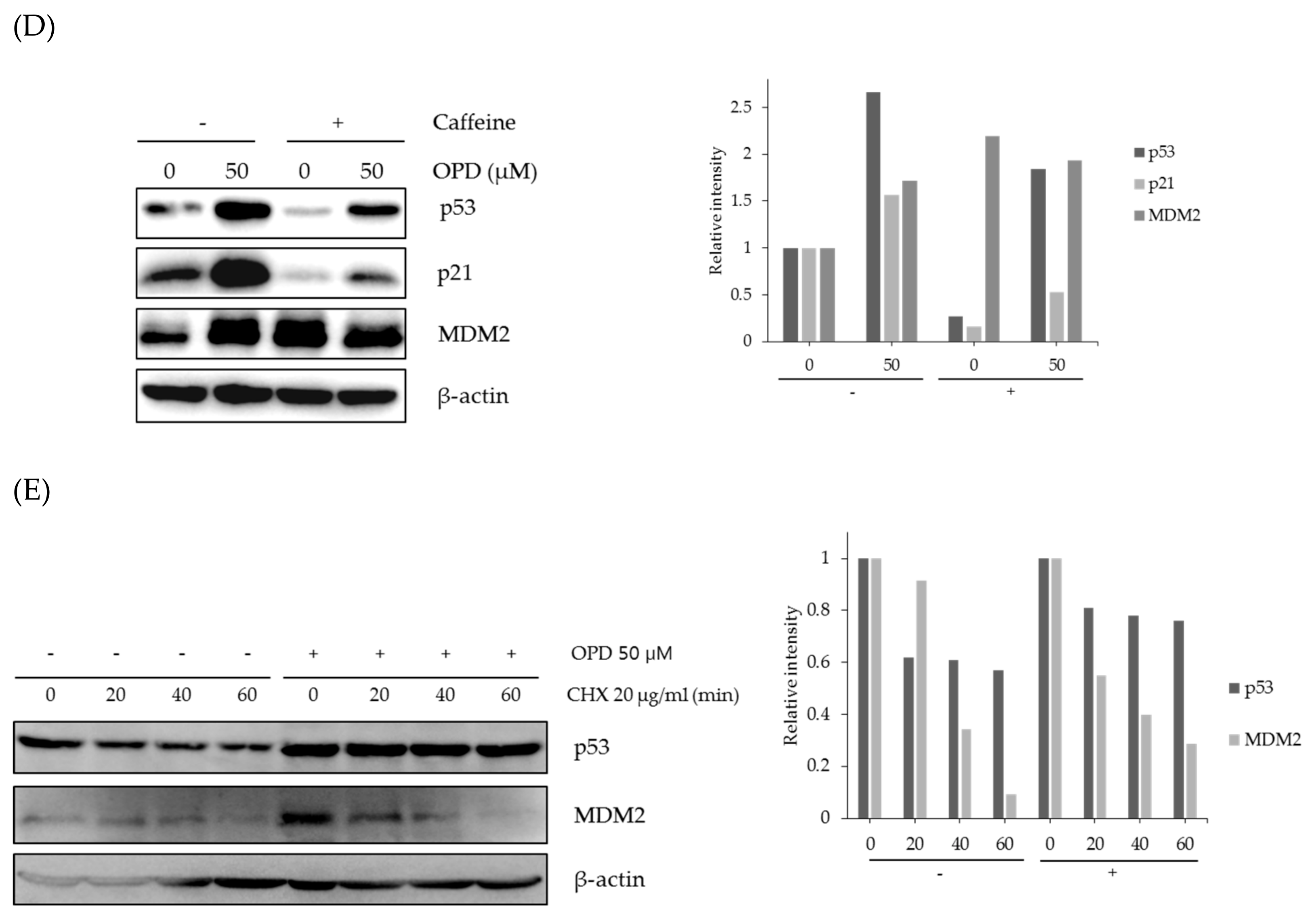 Molecules 25 00501 g004b