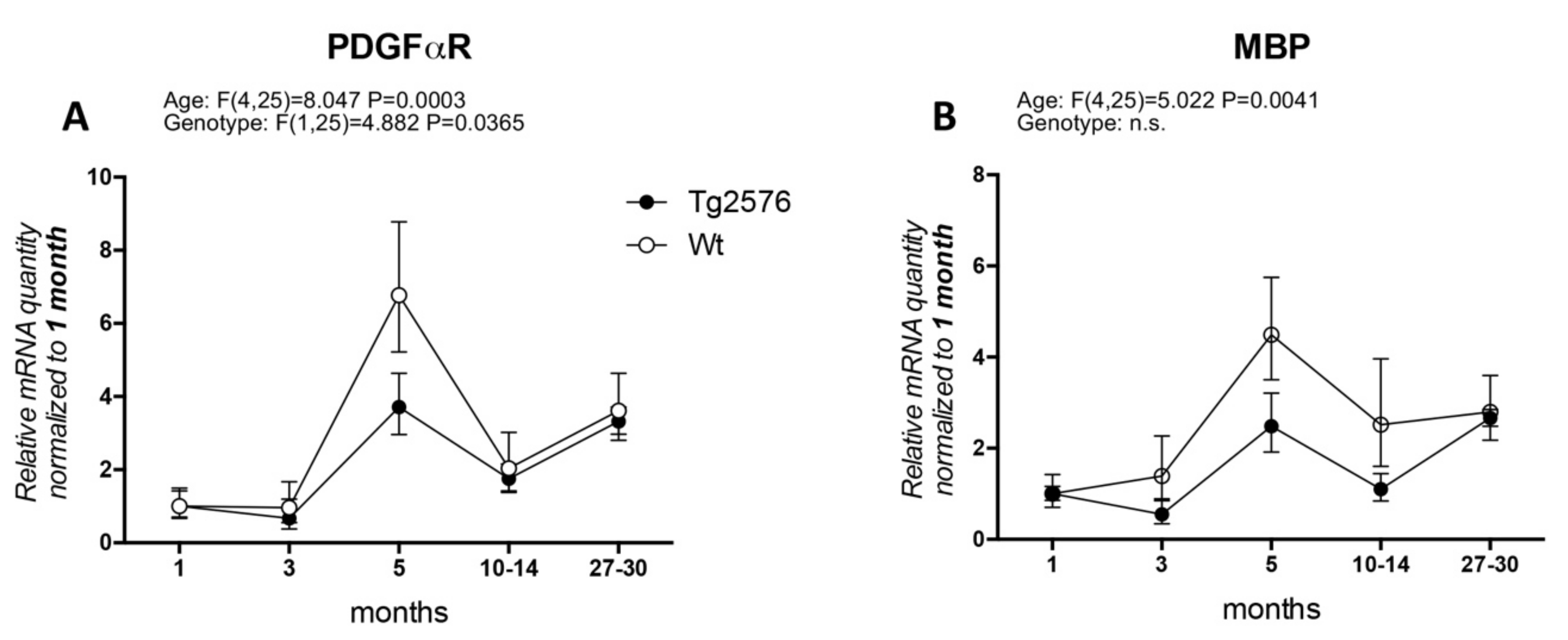 Molecules 25 00503 g001