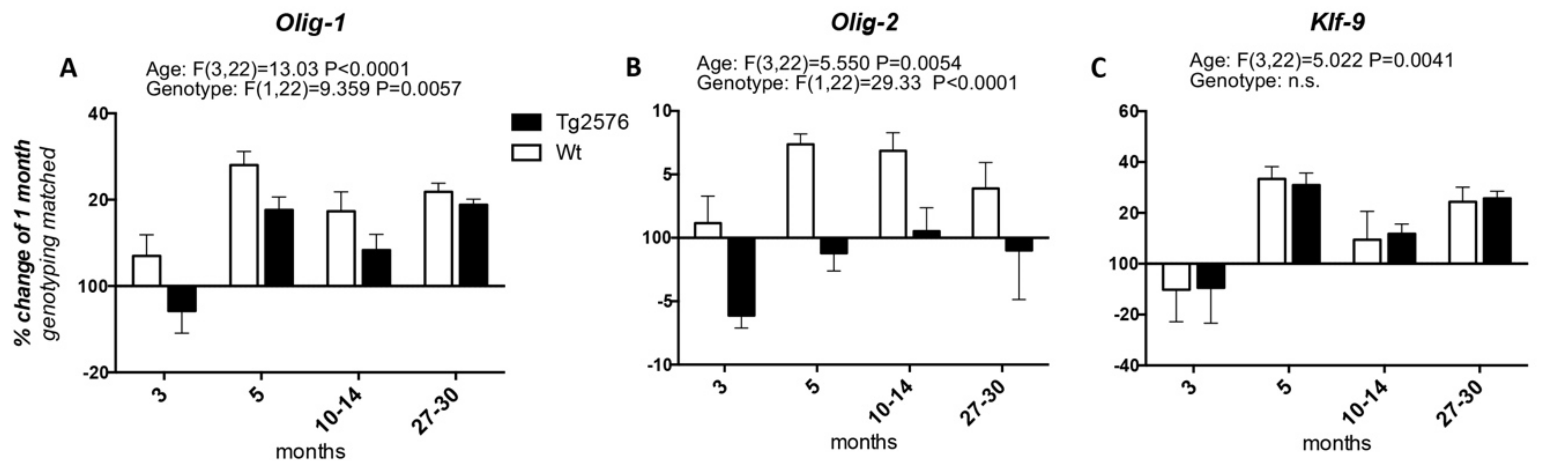 Molecules 25 00503 g002