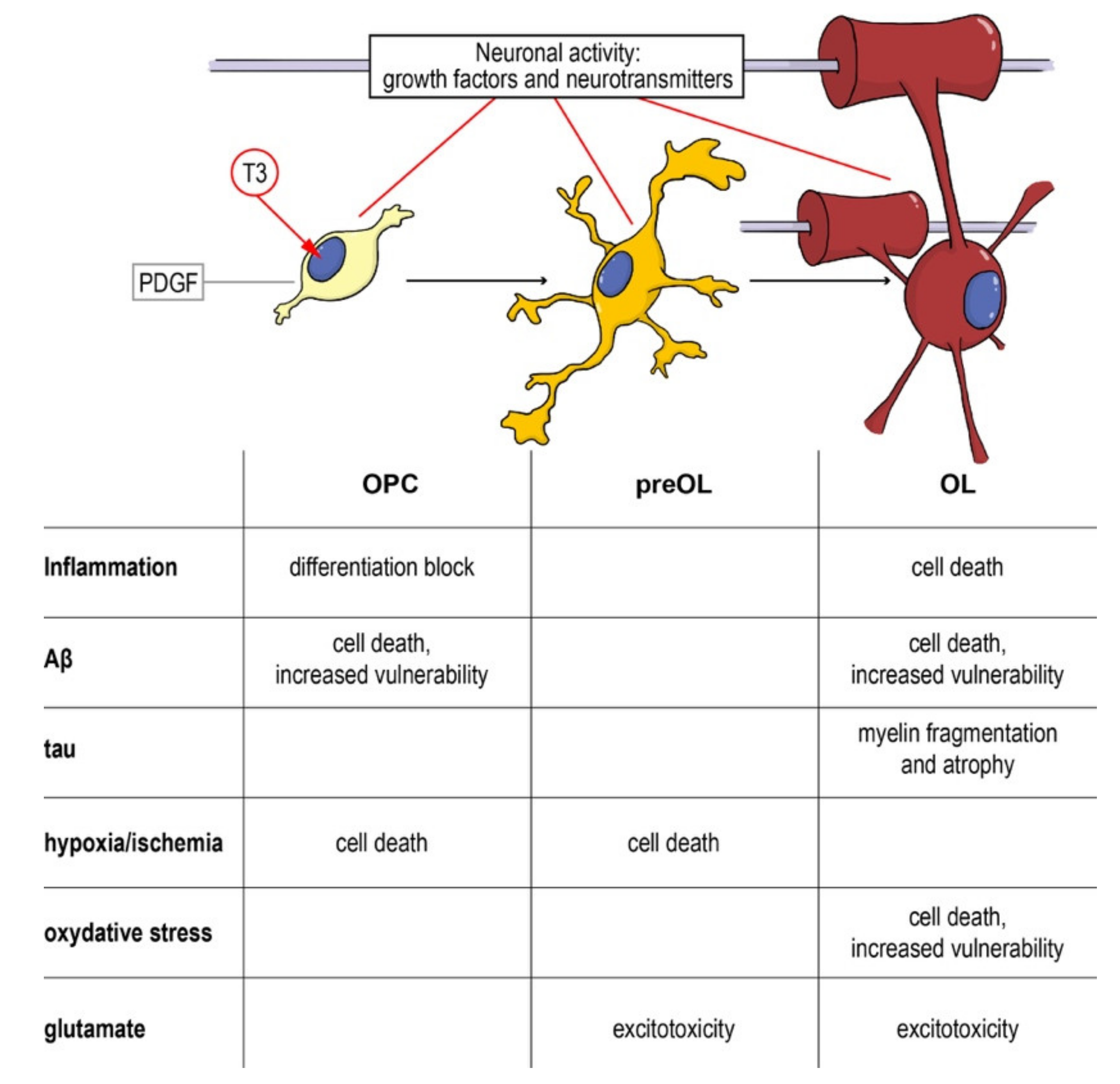 Molecules 25 00503 g004