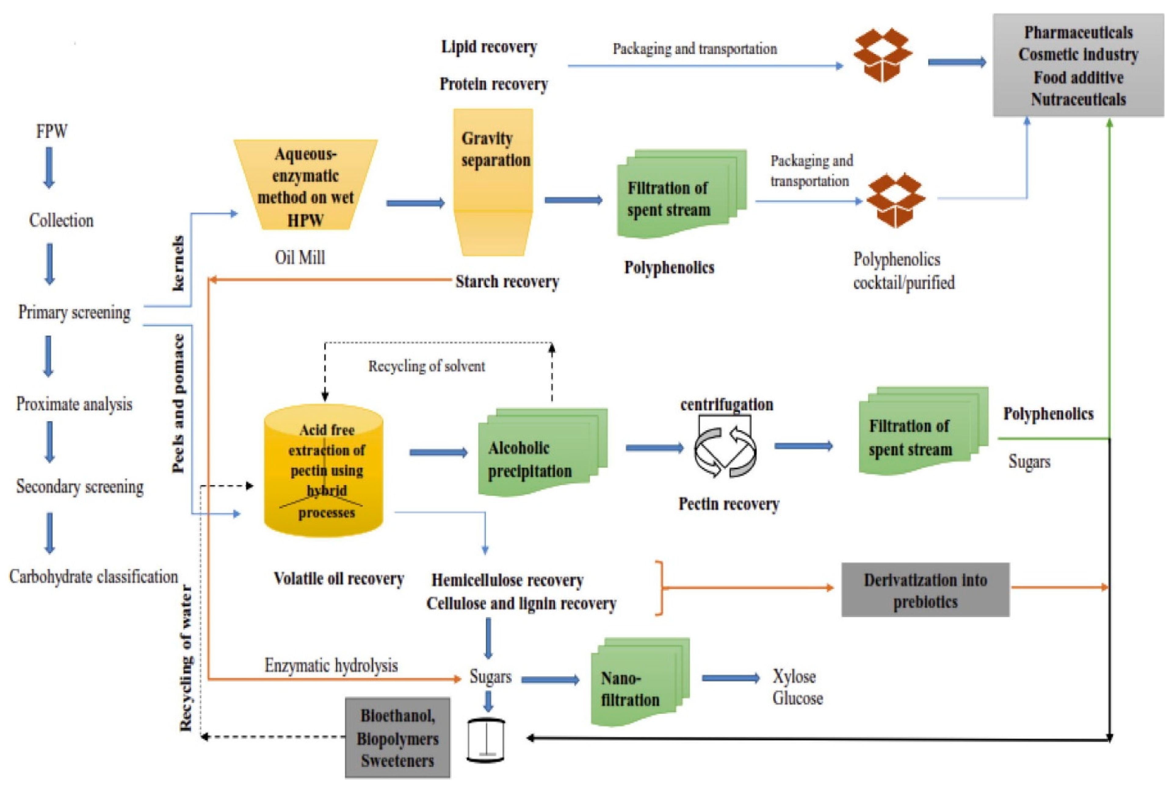Molecules 25 00510 g002