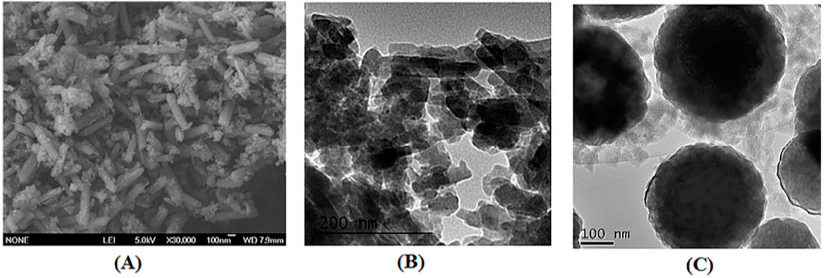 Molecules 25 00513 g002 Molecules 25 00513 g002