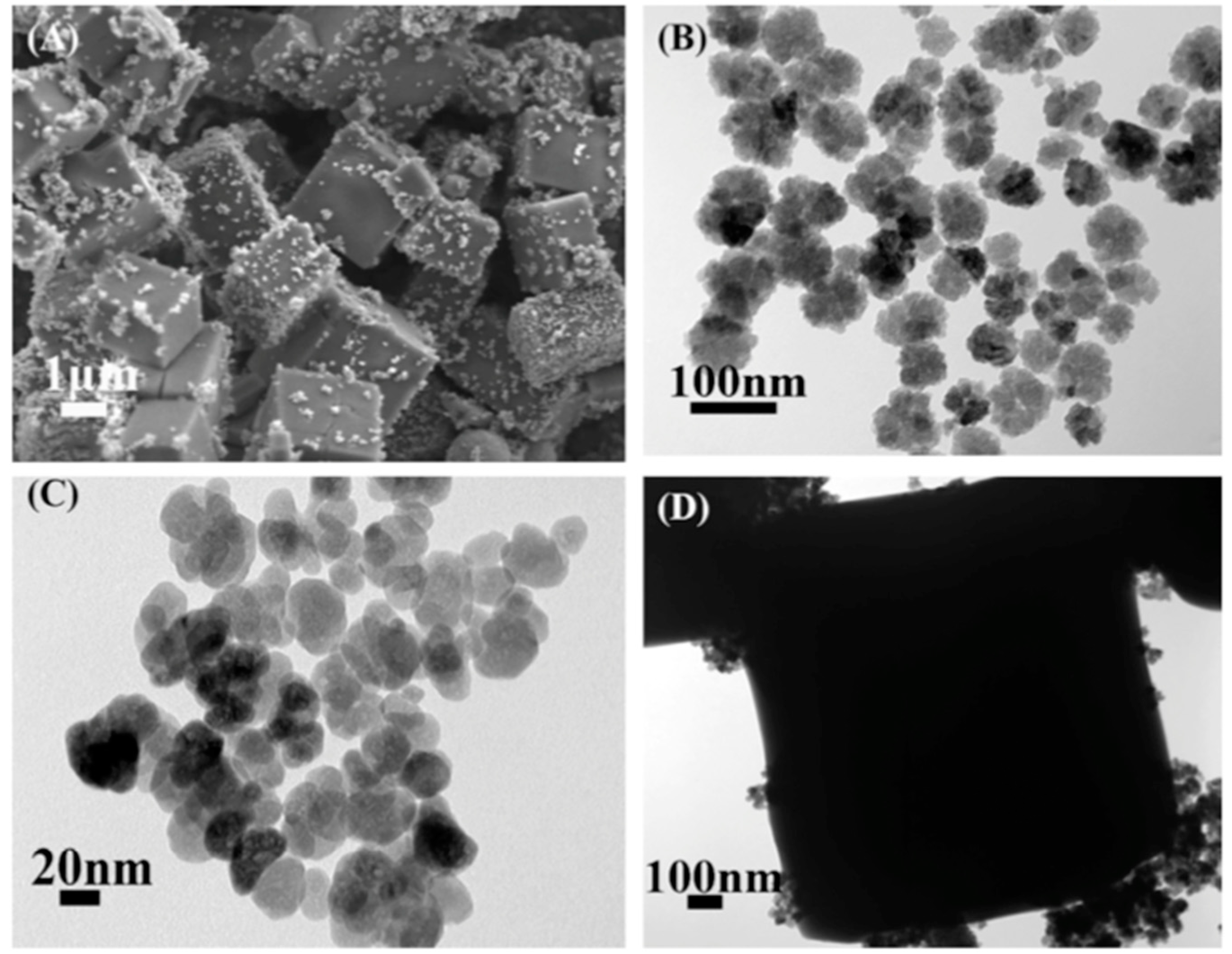 Molecules 25 00513 g005 Molecules 25 00513 g005