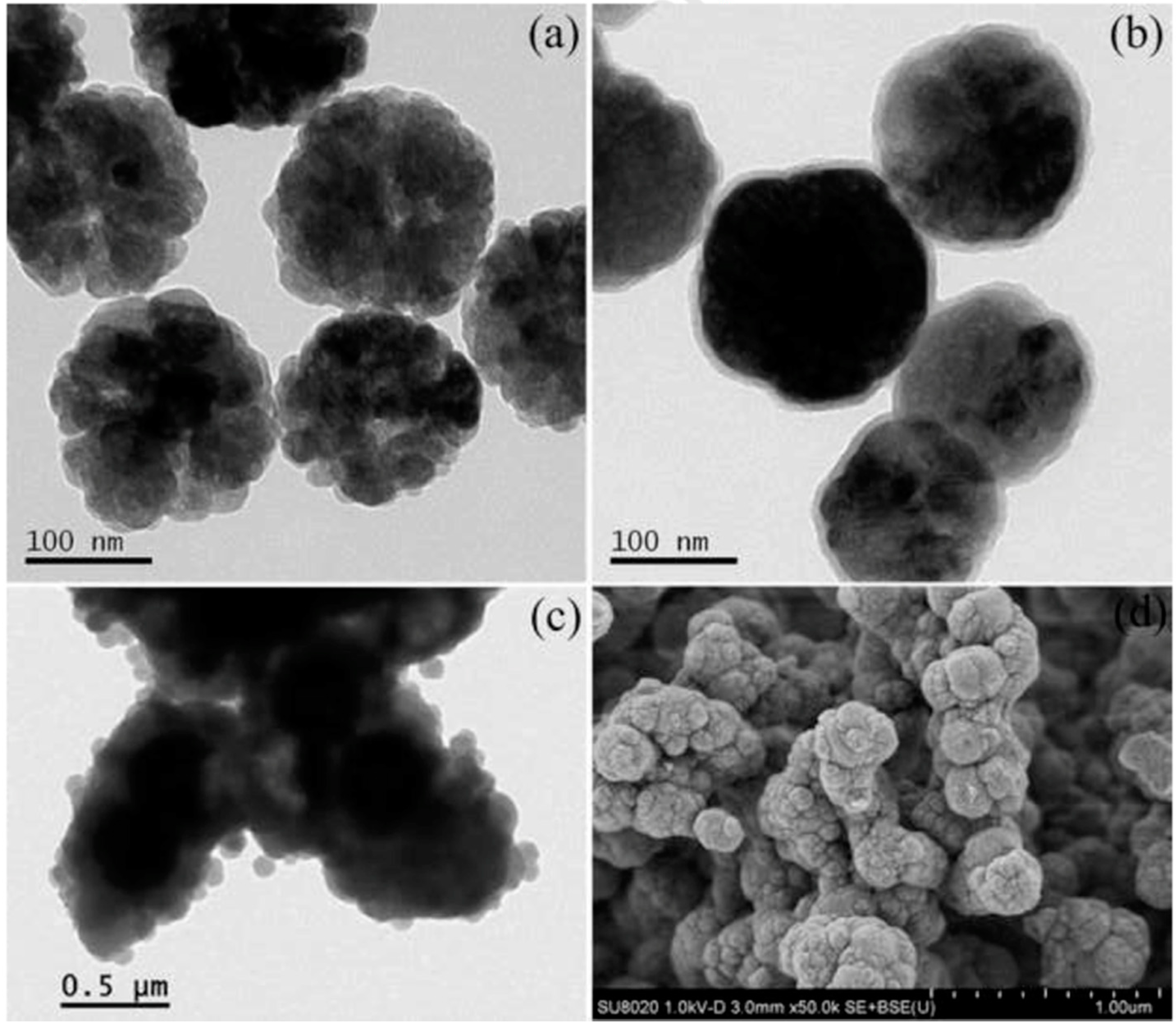 Molecules 25 00513 g009 Molecules 25 00513 g009
