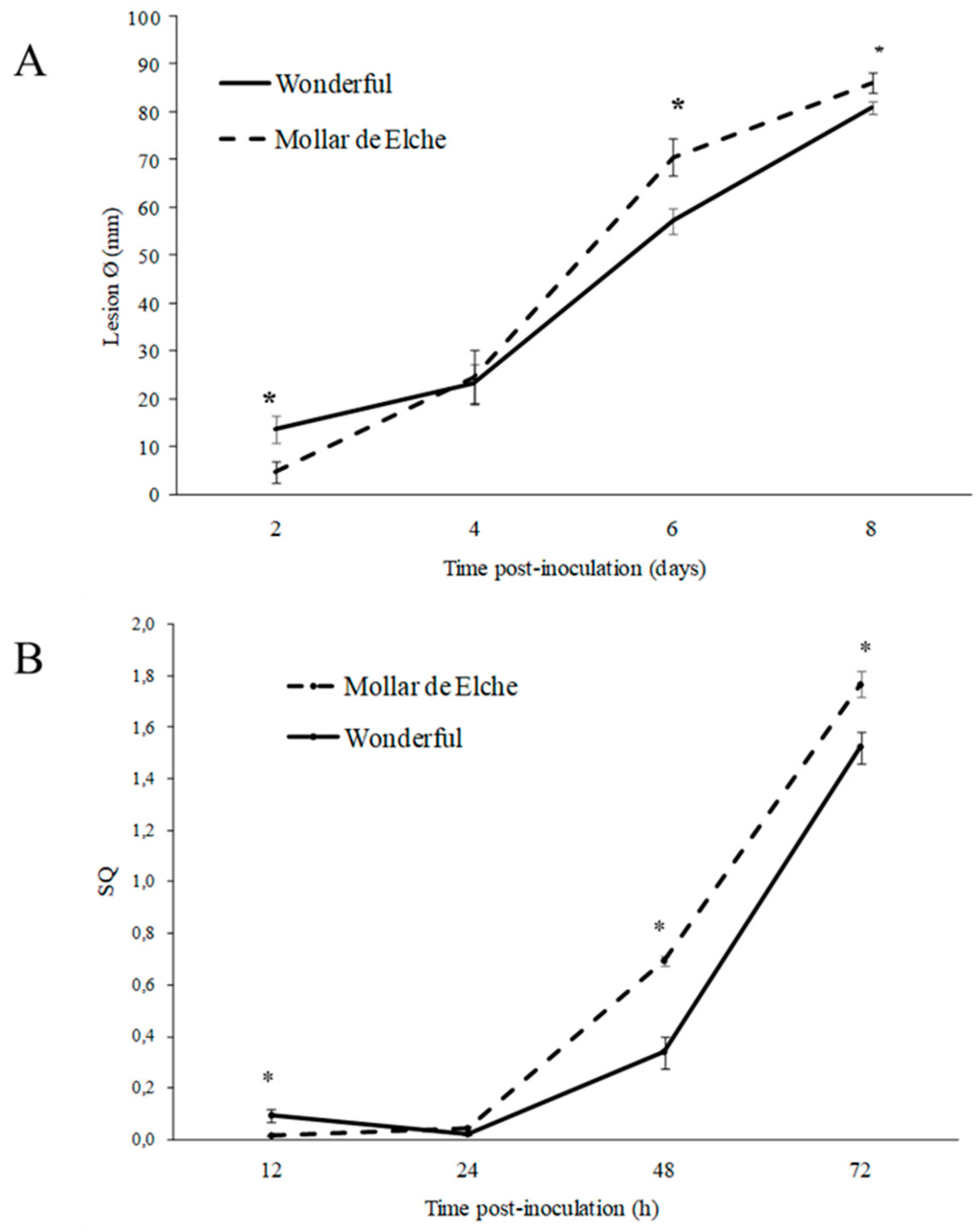 Molecules 25 00515 g001