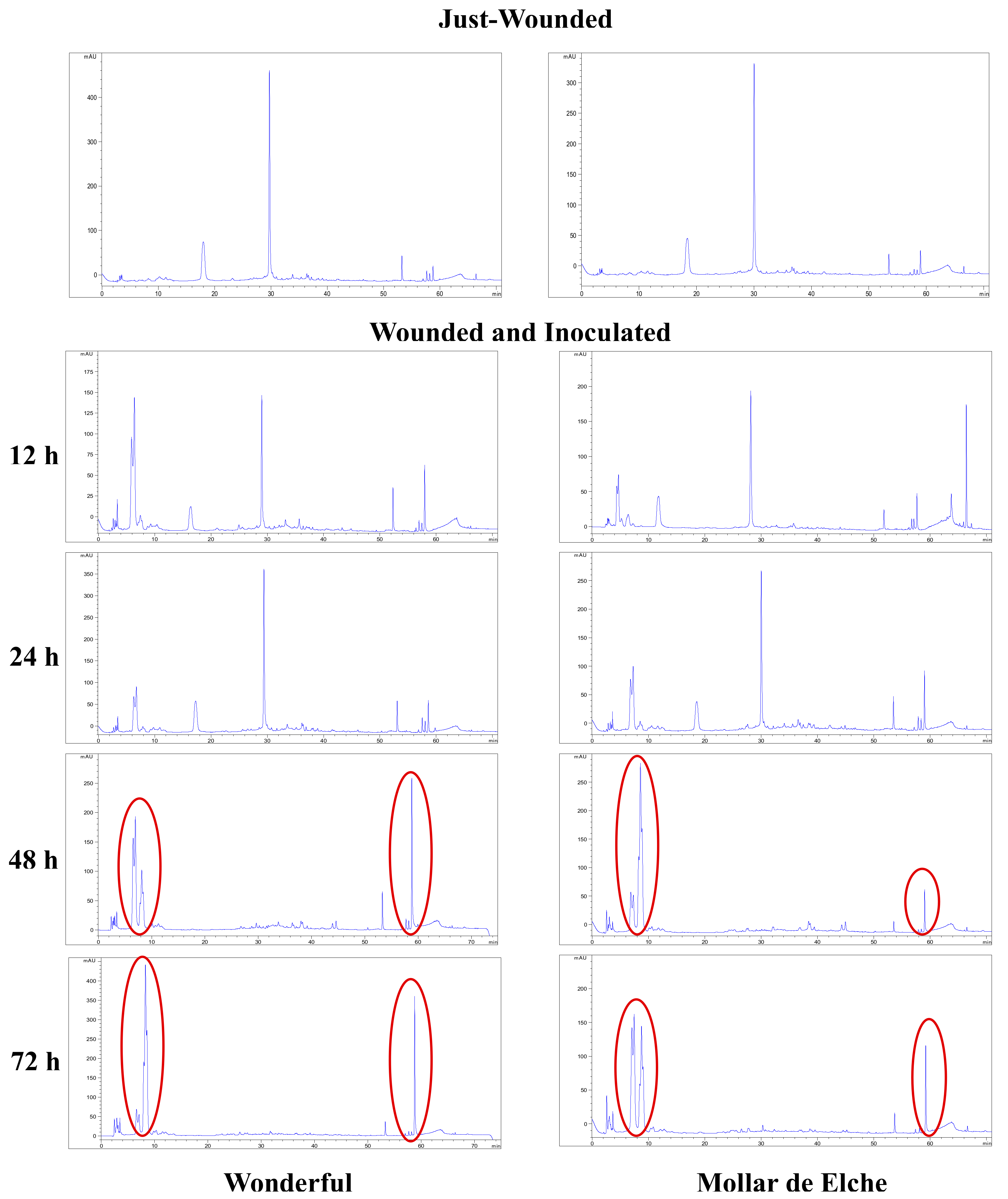 Molecules 25 00515 g005