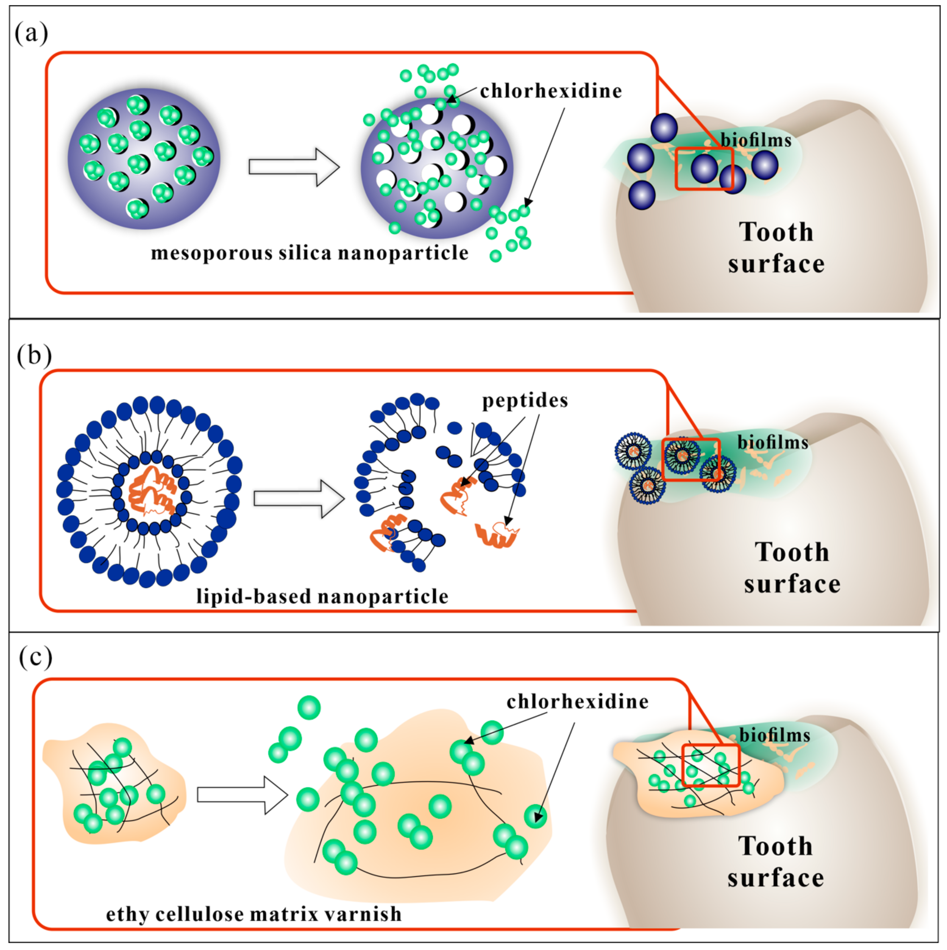 Molecules 25 00516 g002