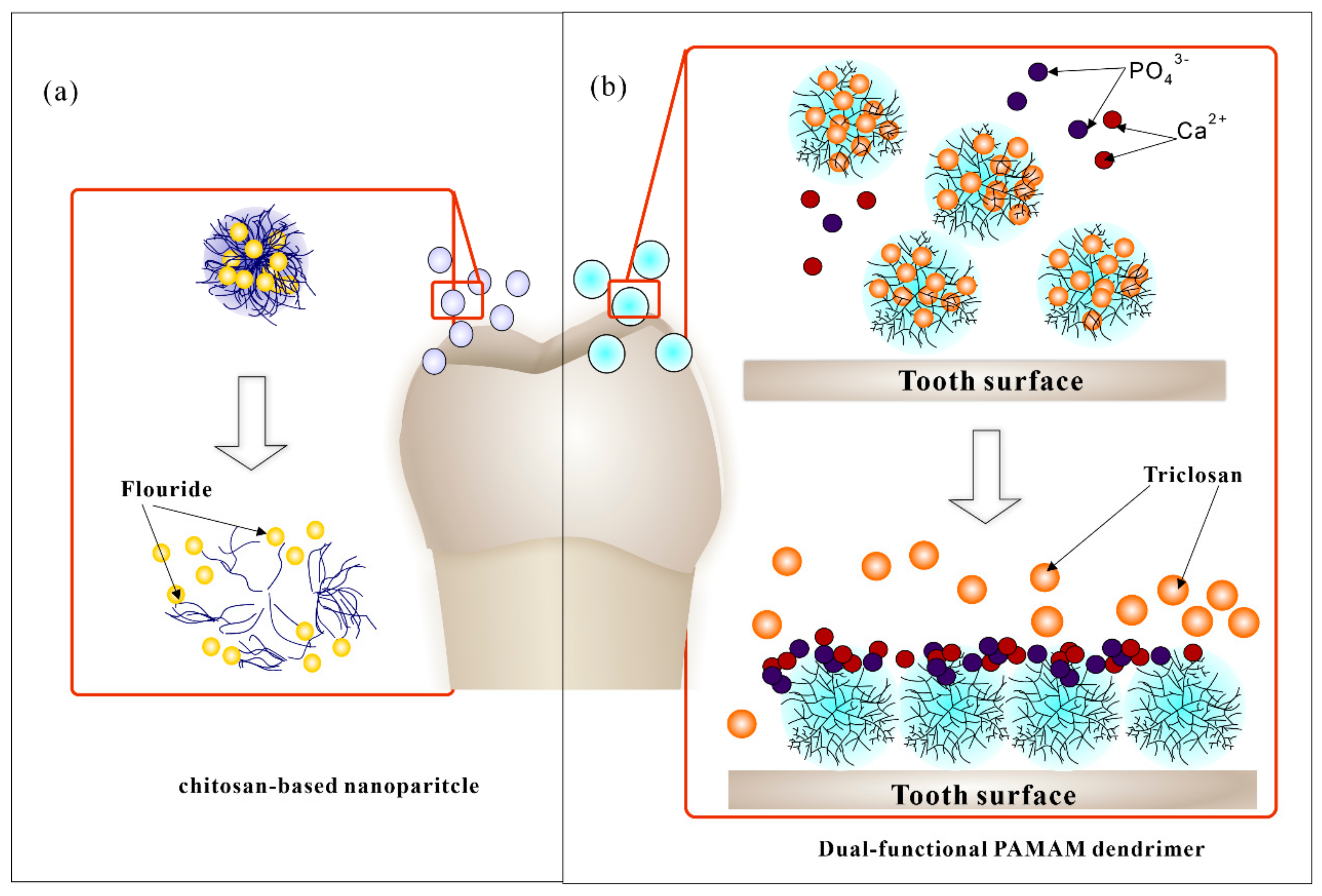 Molecules 25 00516 g003