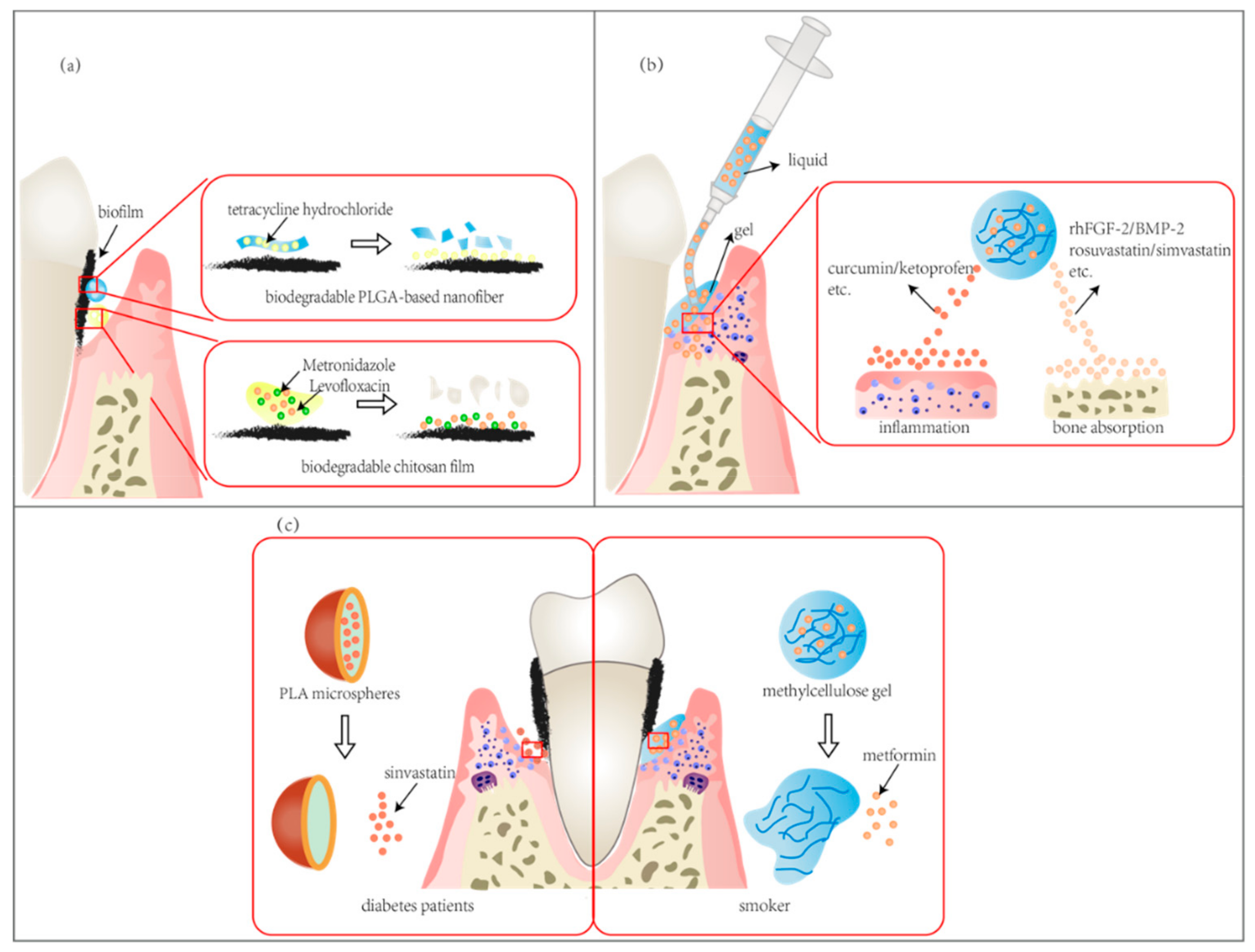 Molecules 25 00516 g005