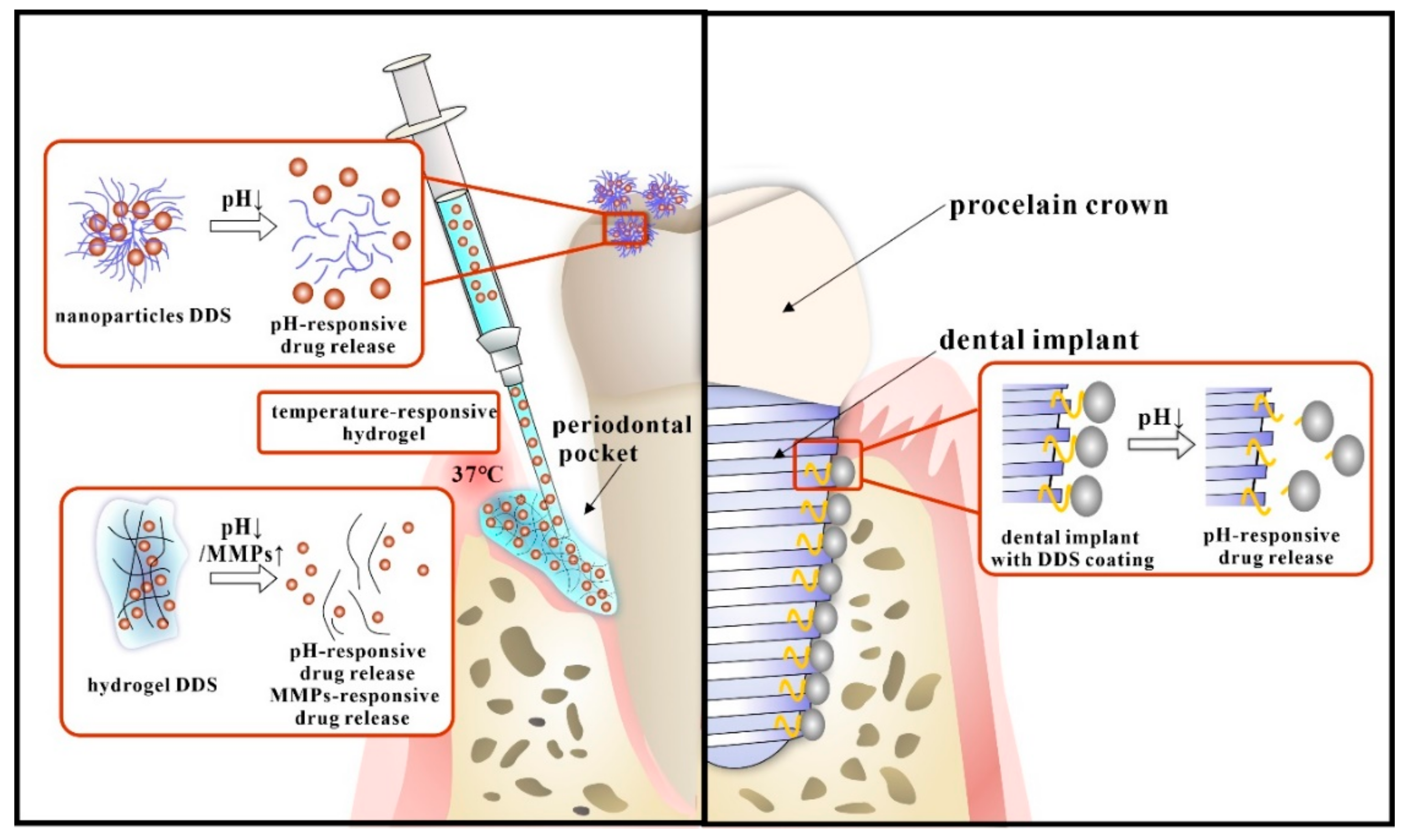 Molecules 25 00516 g007